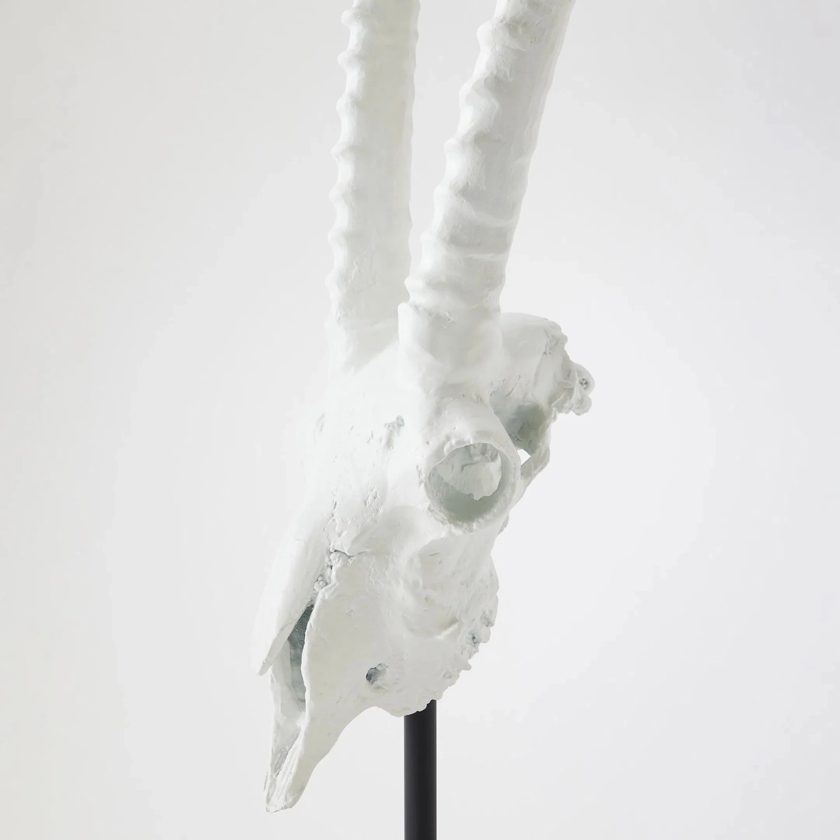 Gemsbok Skull Sculpture - Image 3