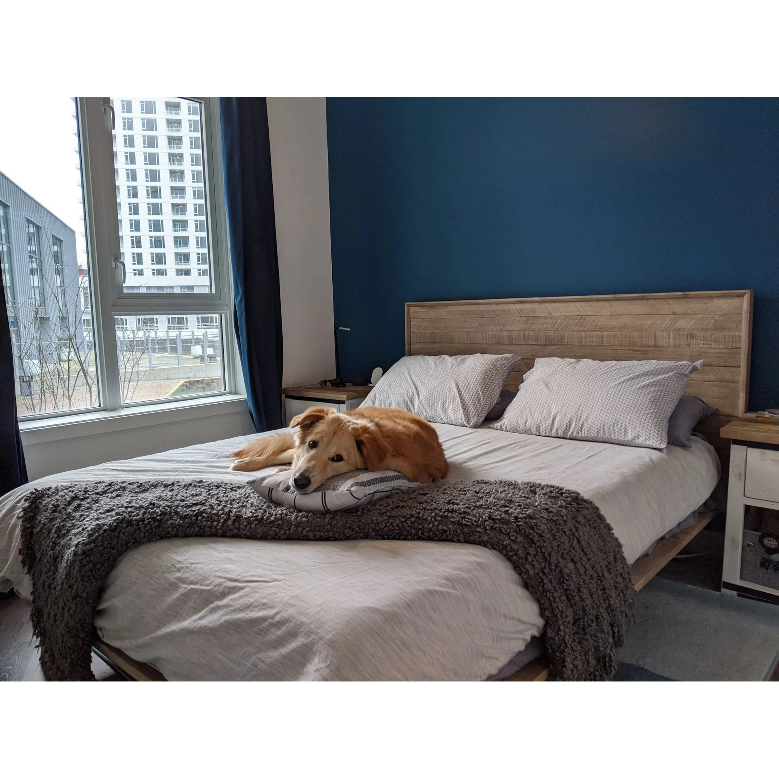 Gia Bed - Image 51