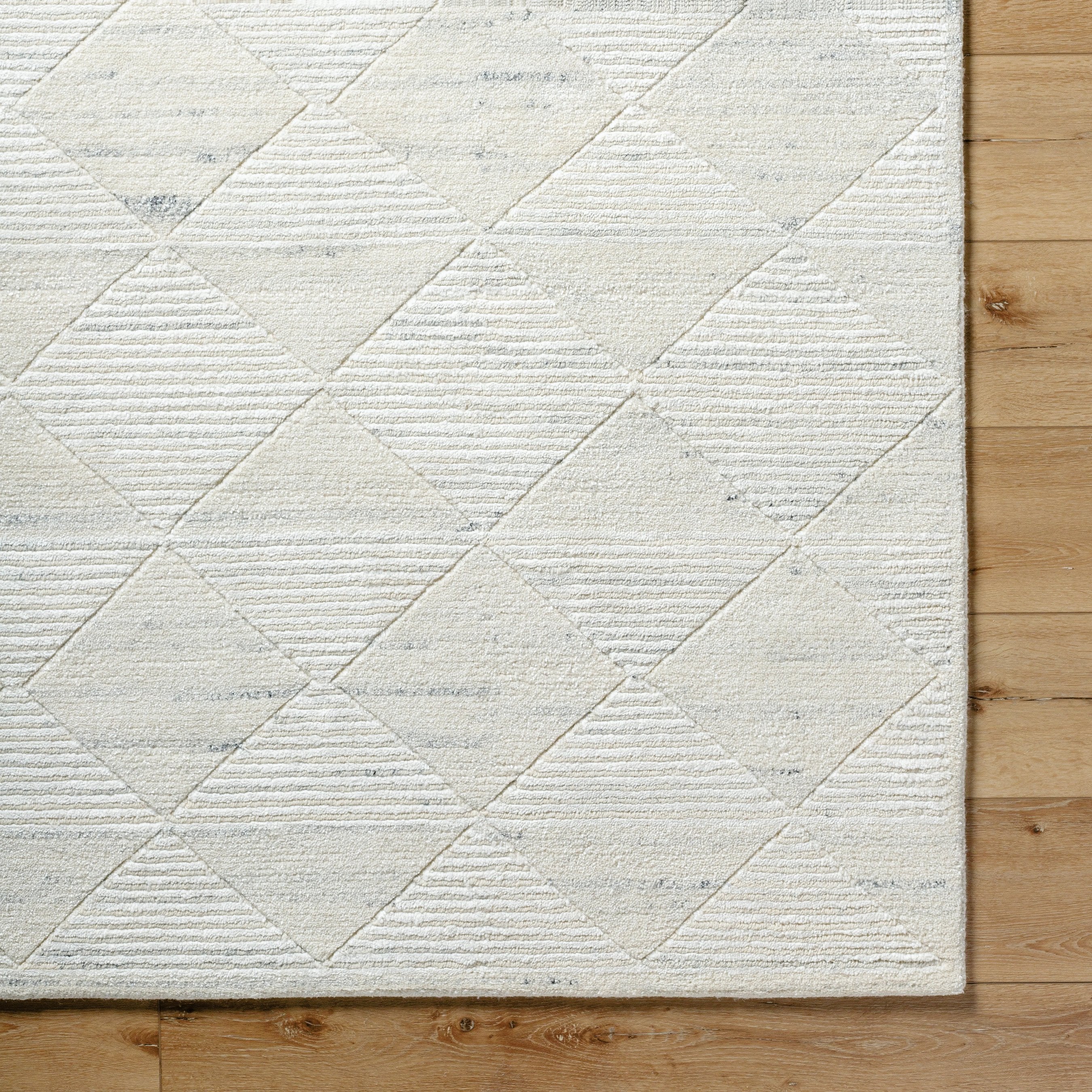 Gina BOGN-2300 Rug - Image 6