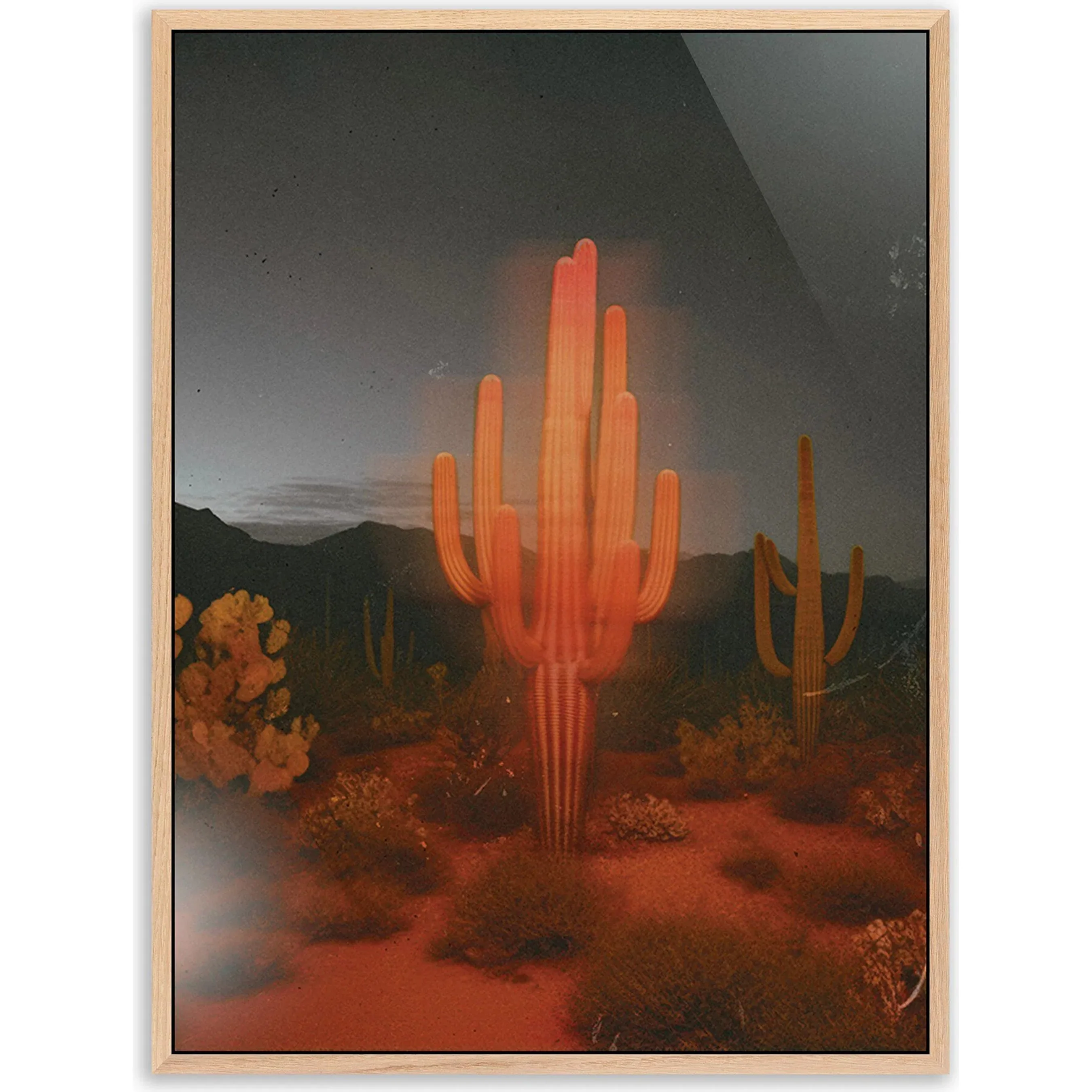 Glowing Saguaro by Coup d'Esprit - Image 4