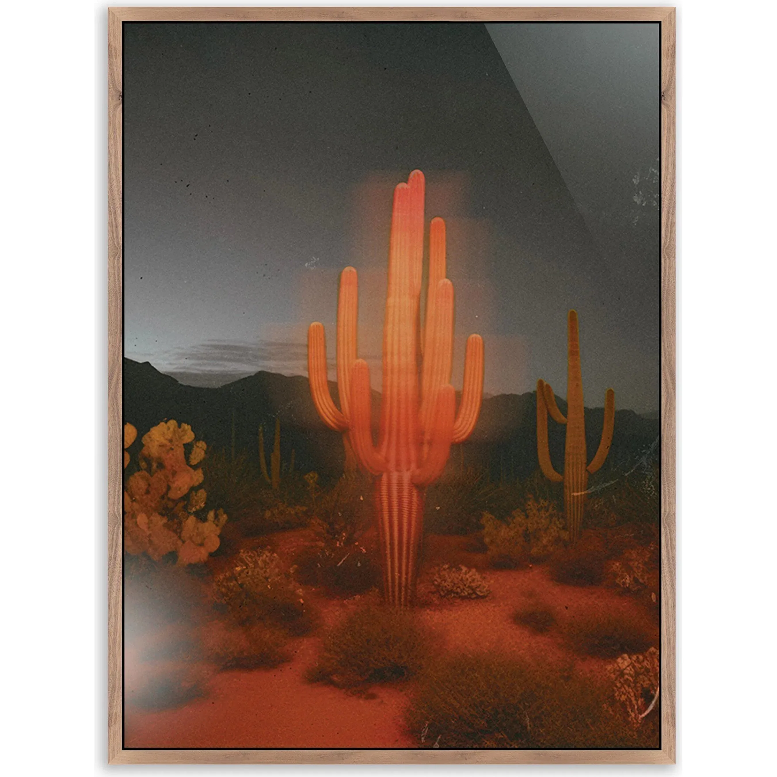 Glowing Saguaro by Coup d'Esprit - Image 5