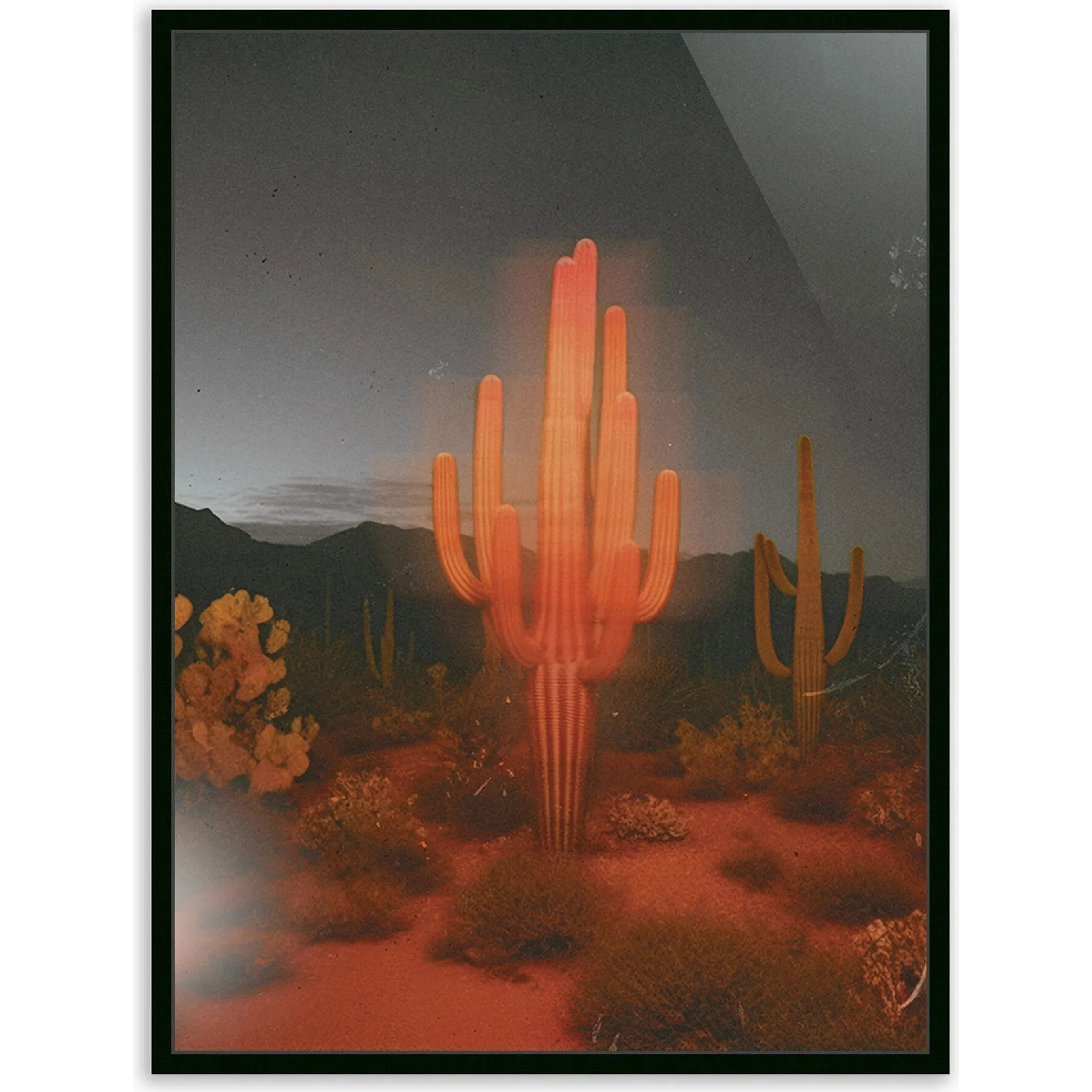 Glowing Saguaro by Coup d'Esprit - Image 7