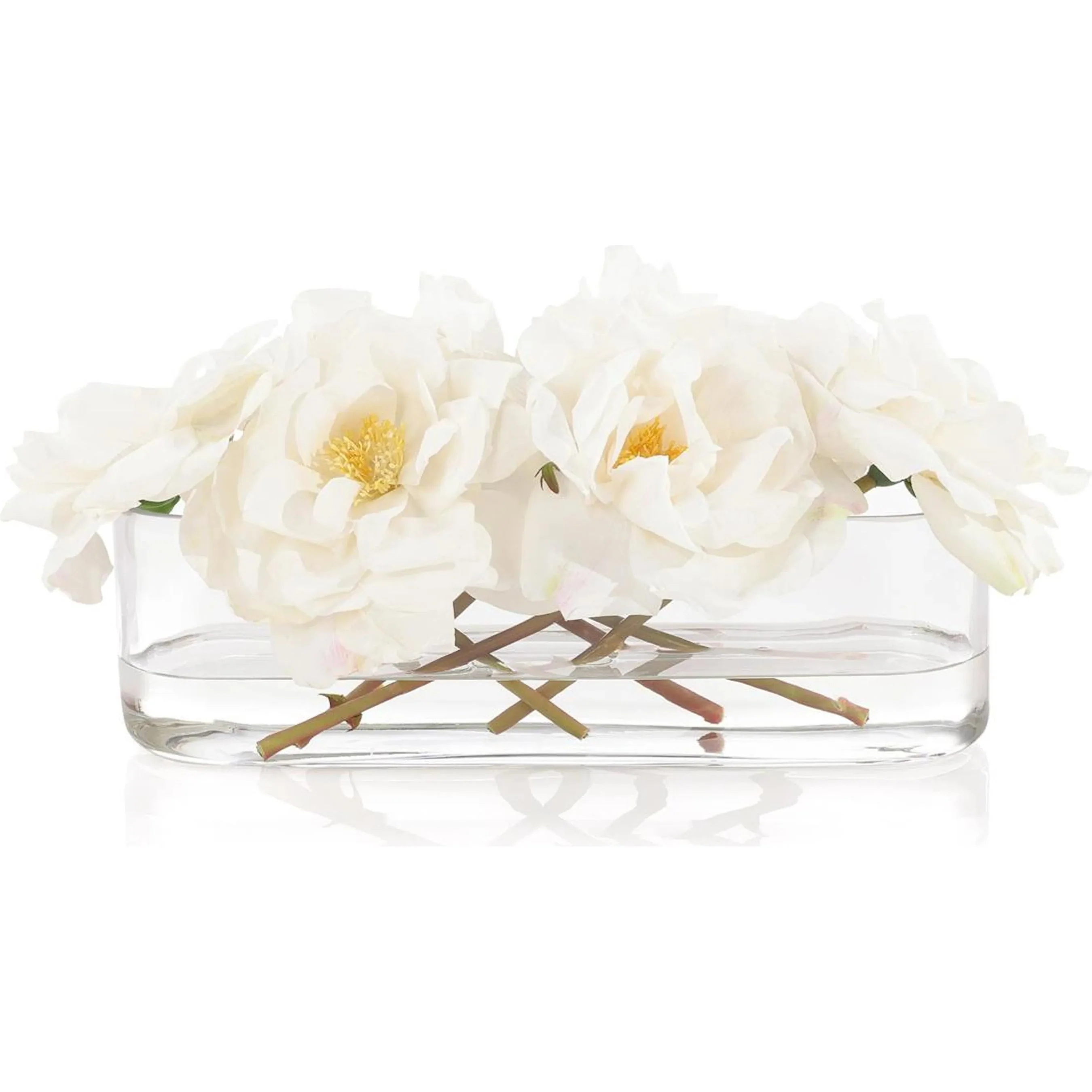Graceful Roses