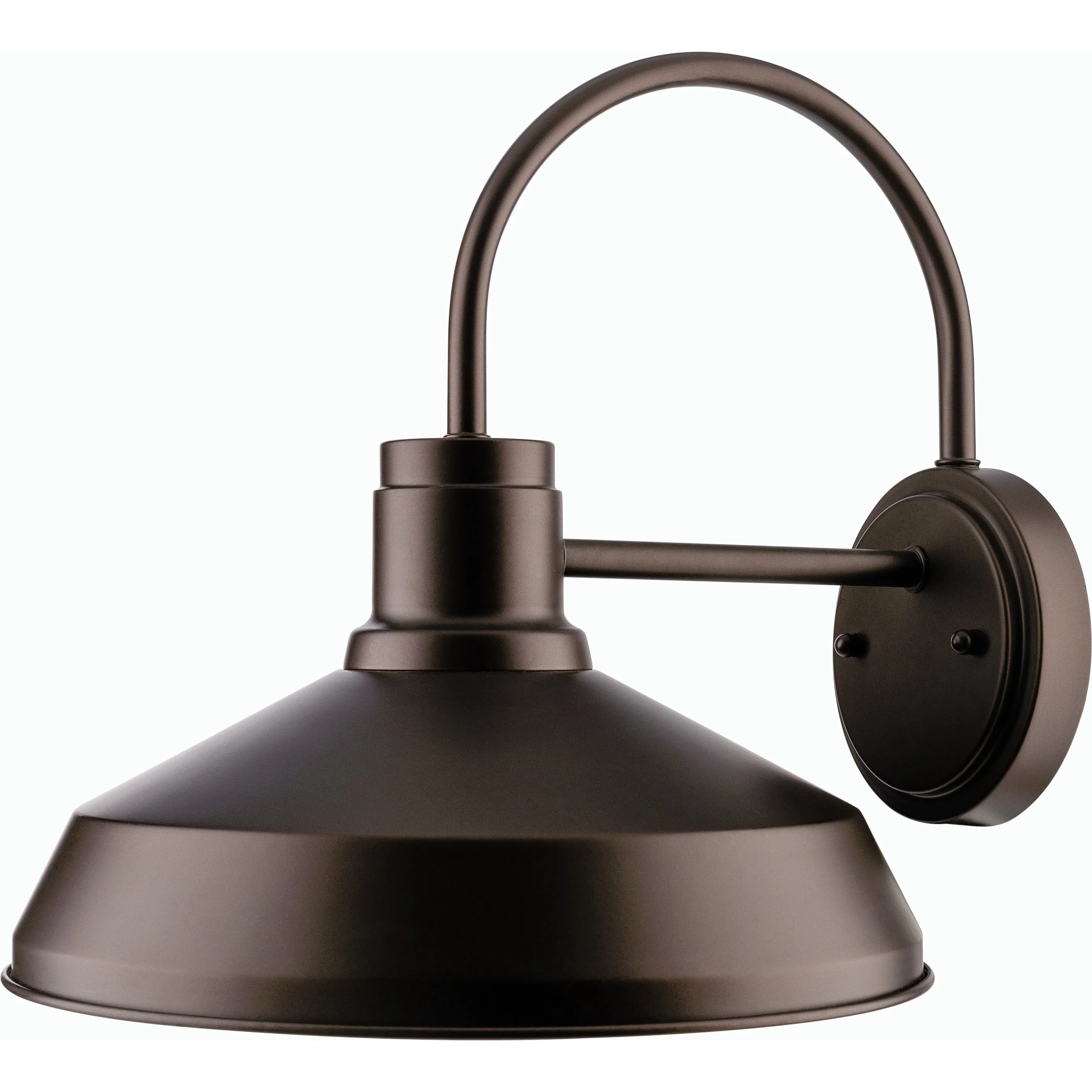 Guneet Indoor/Outdoor Wall Sconce