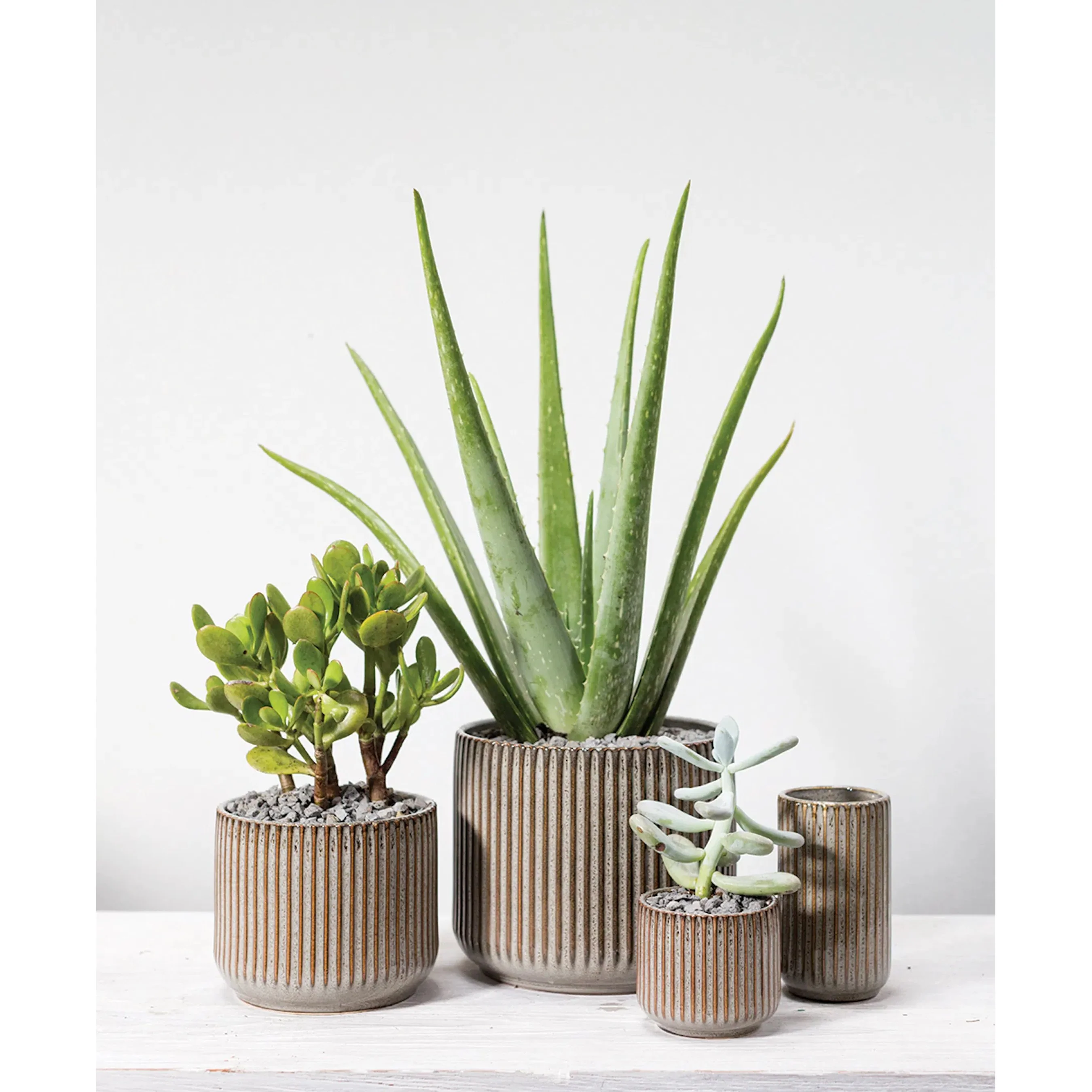 Habitat Vase - Image 2