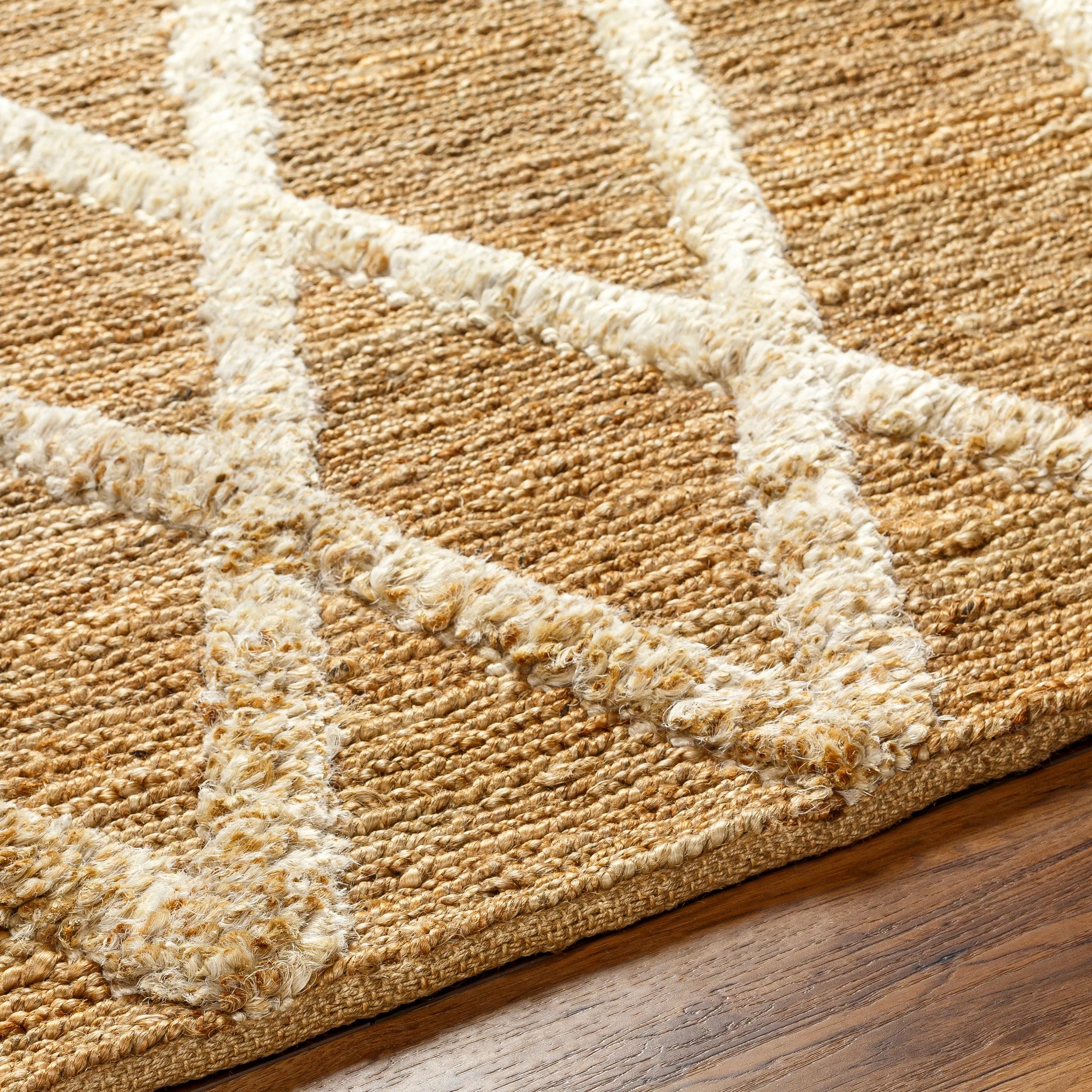 Hadley HDE-2300 Indoor/Outdoor Rug - Image 5
