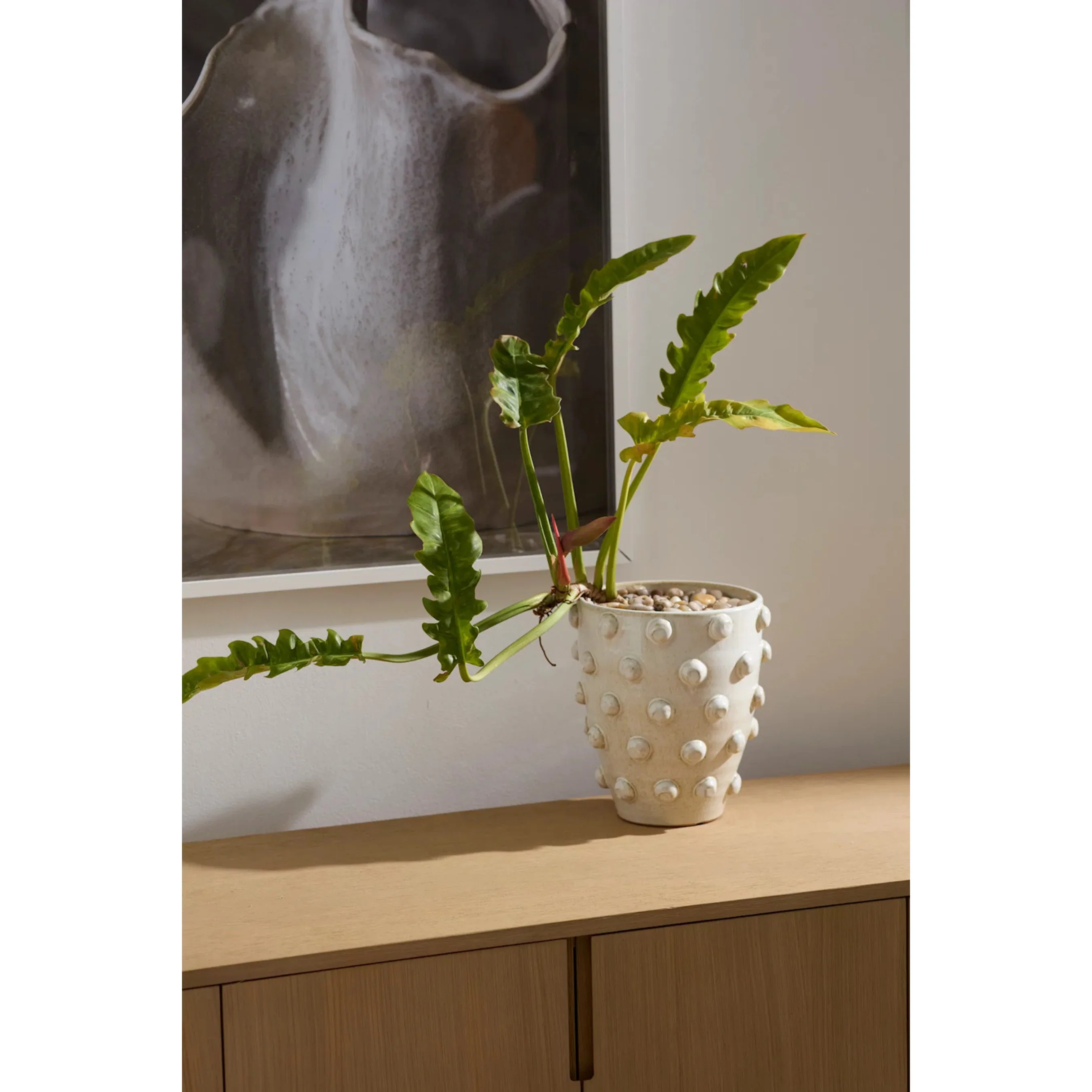 Hanover Pot - Image 3