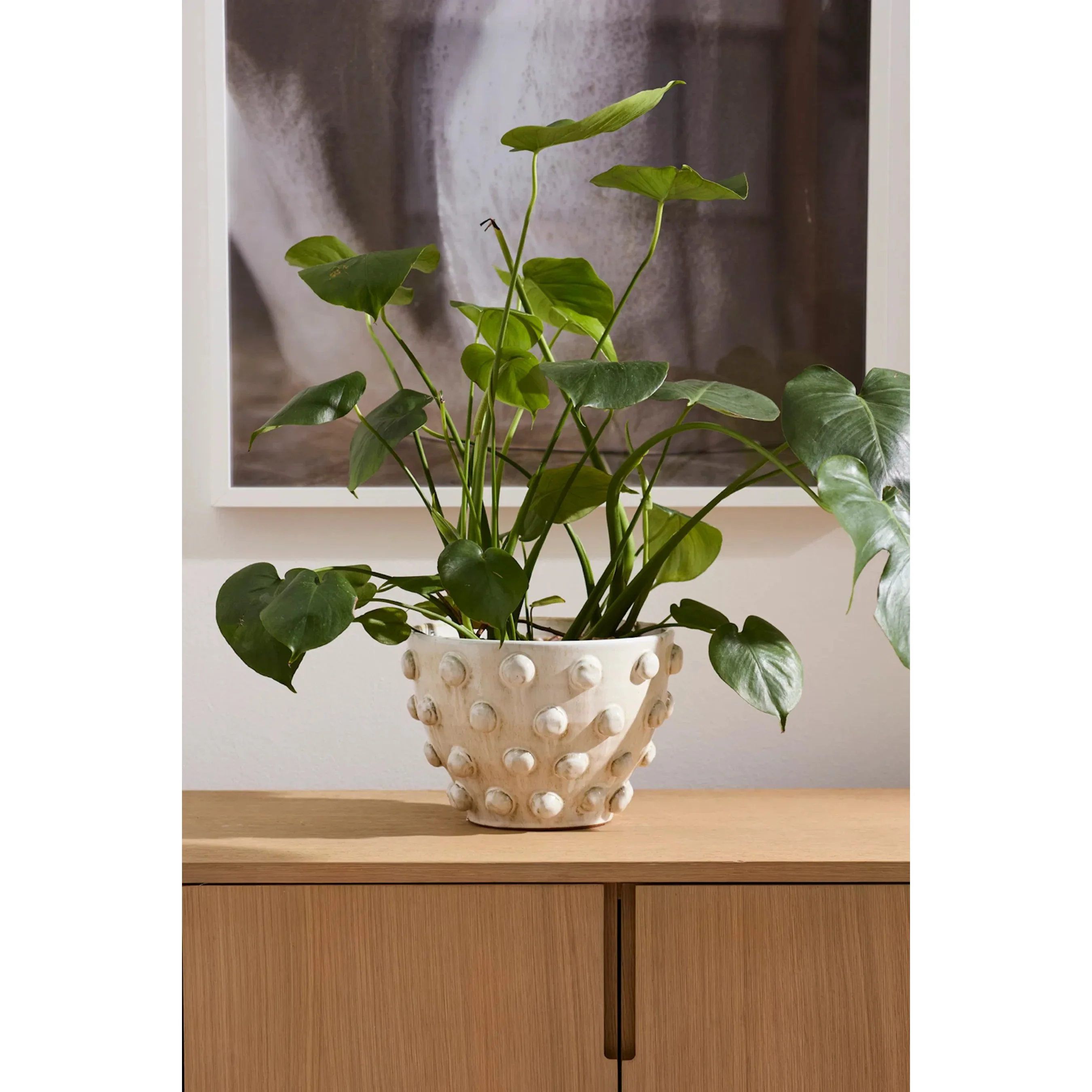 Hanover Pot - Image 4