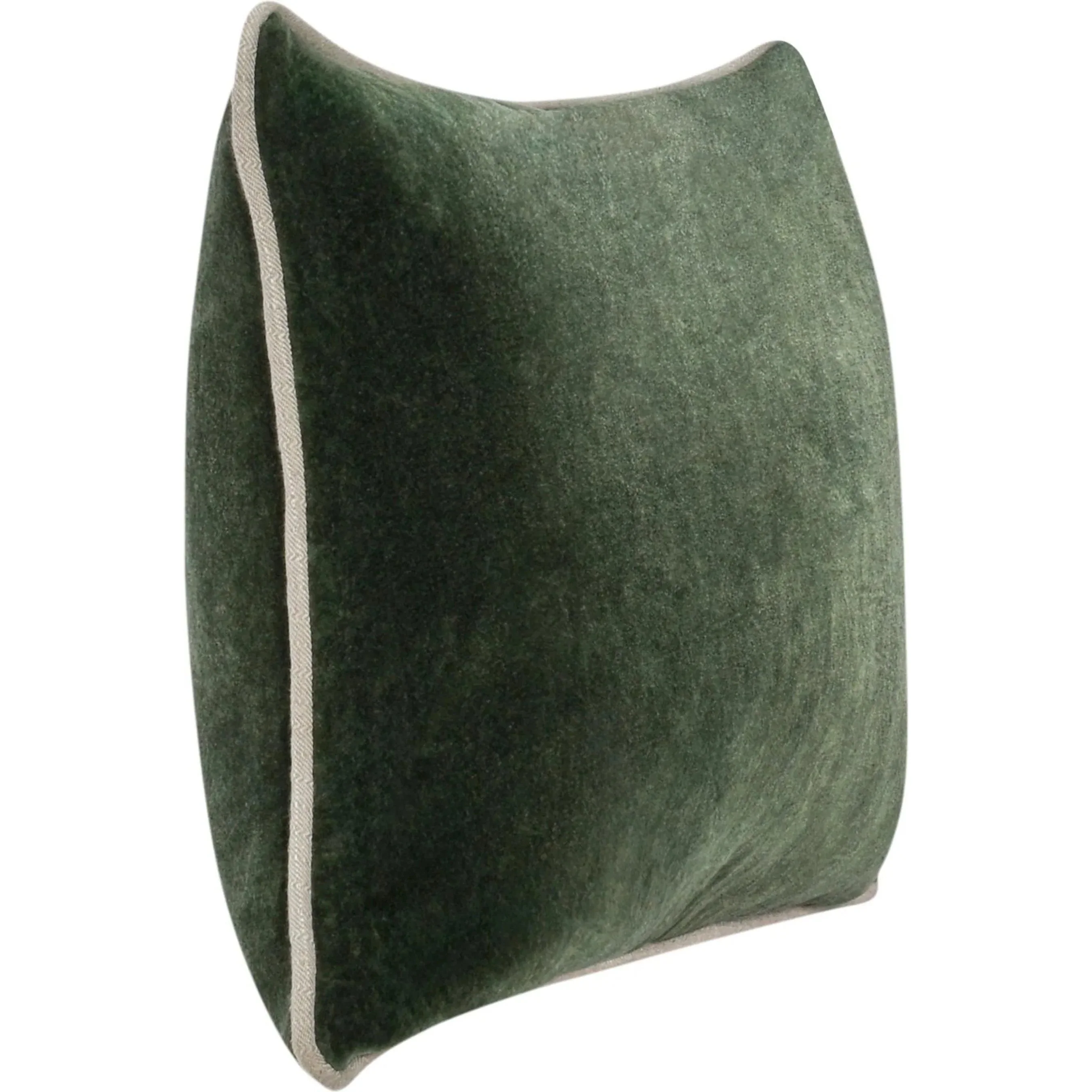 Harriet Velvet Throw Pillow - Image 41