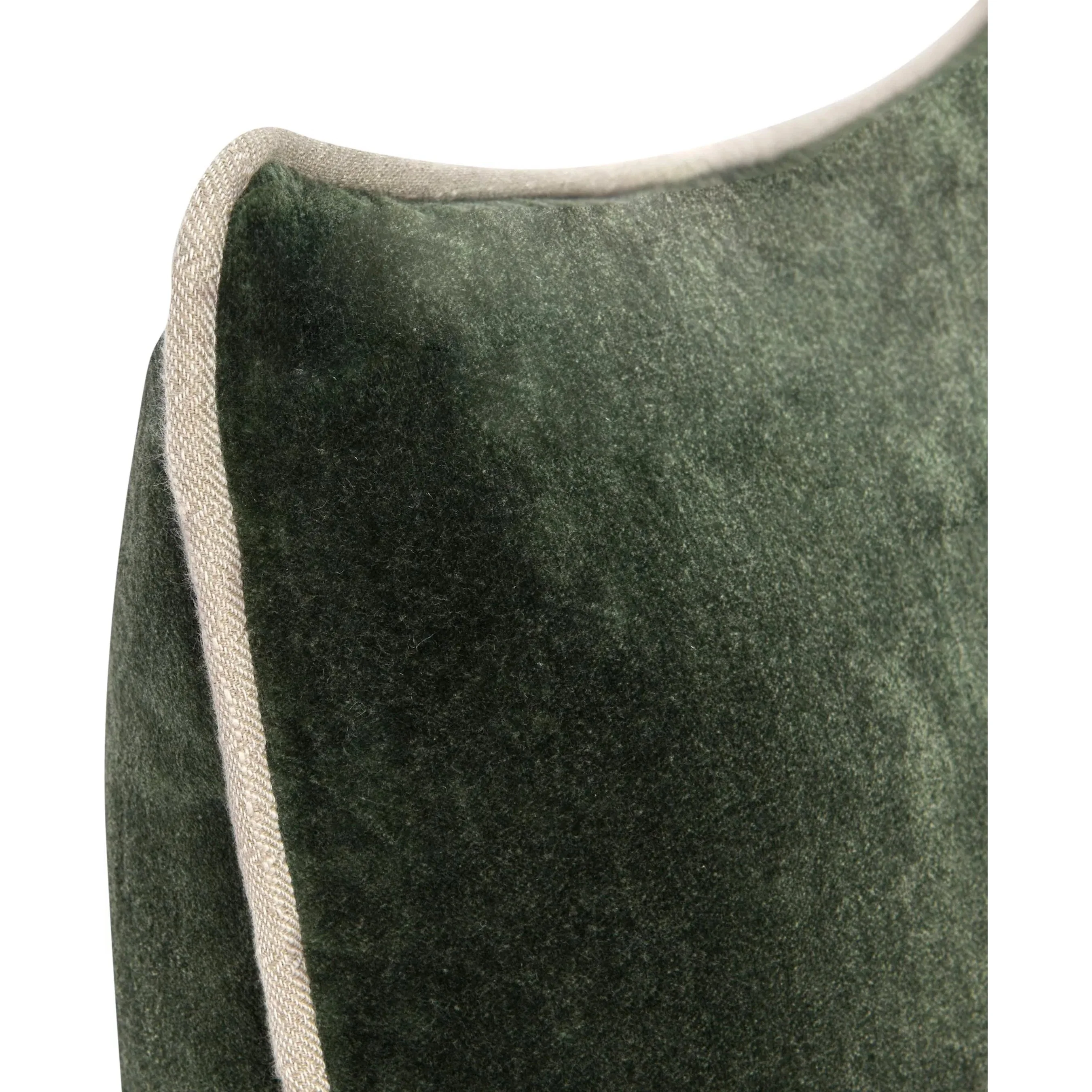 Harriet Velvet Throw Pillow - Image 77