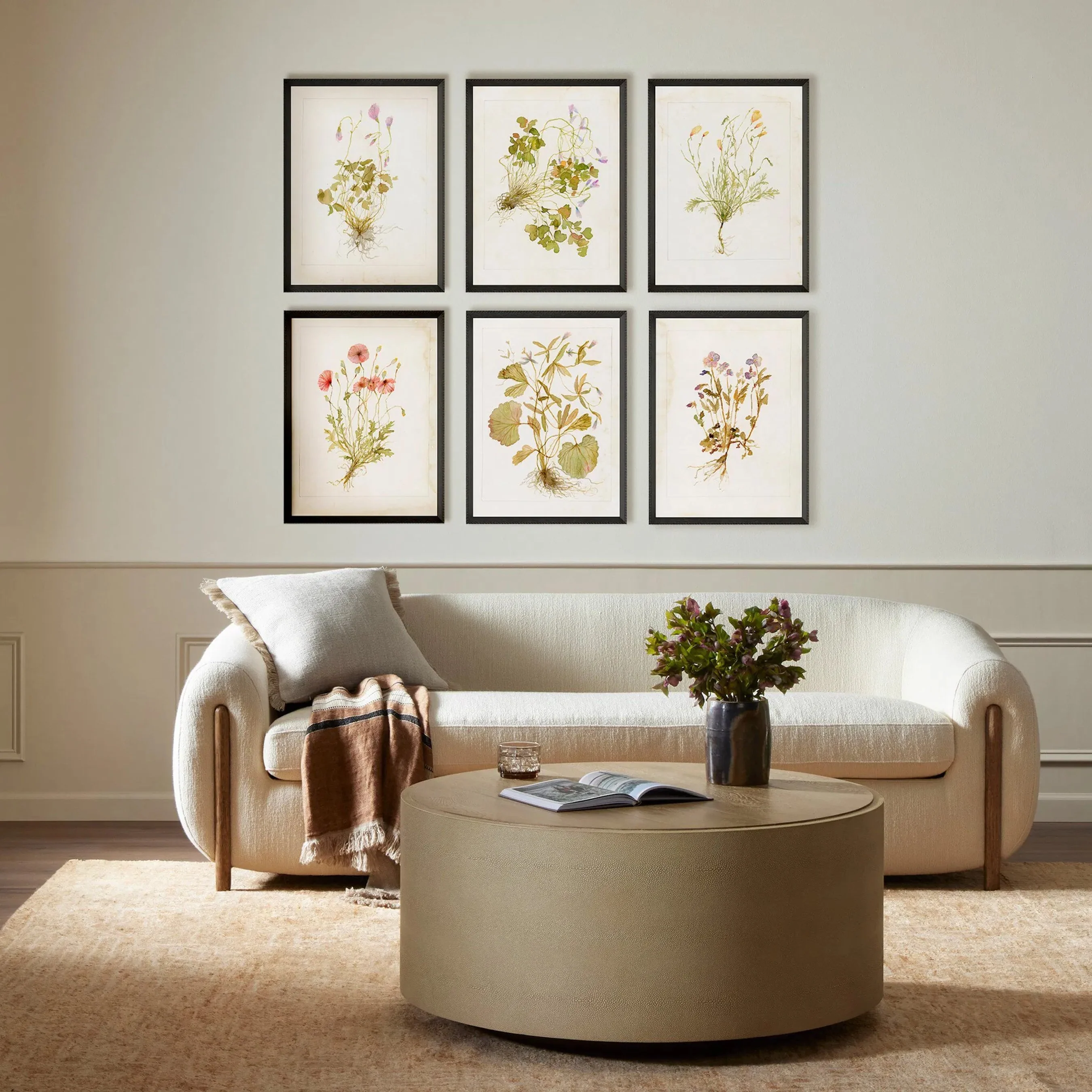 Herbarium Set by Laurel-Dawn Latshaw - Image 2
