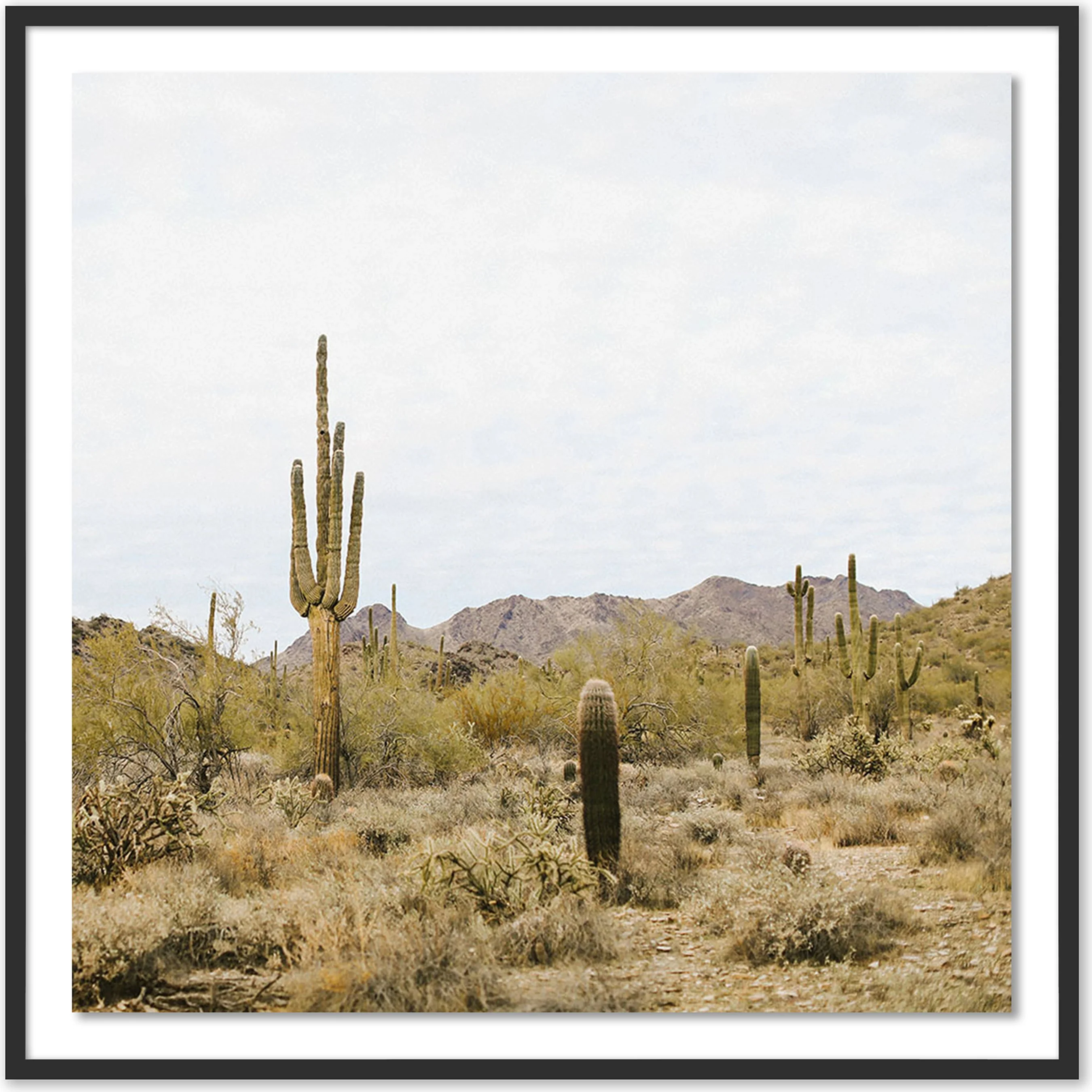 High Desert by Wesley and Emma Teague - Image 2