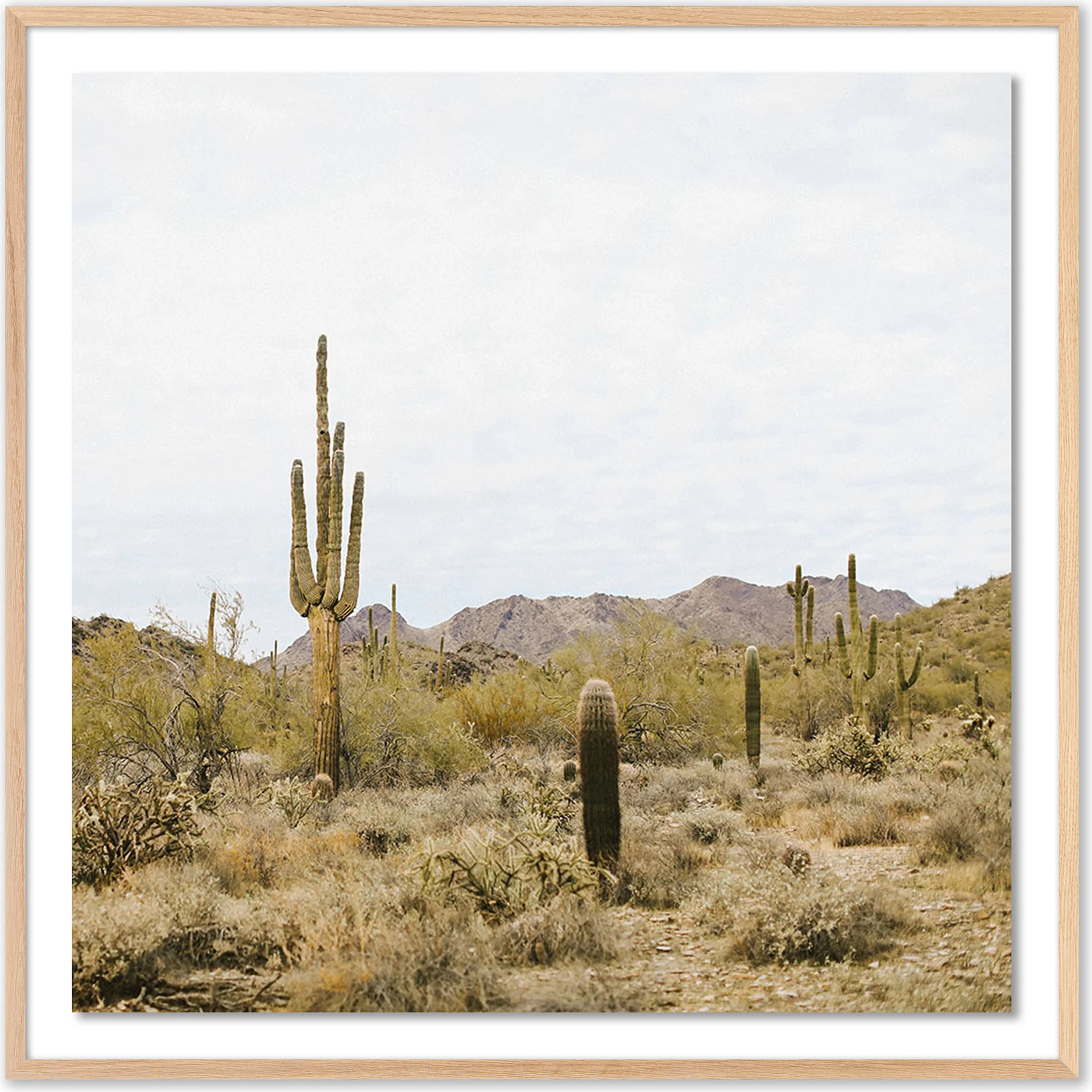 High Desert by Wesley and Emma Teague - Image 7