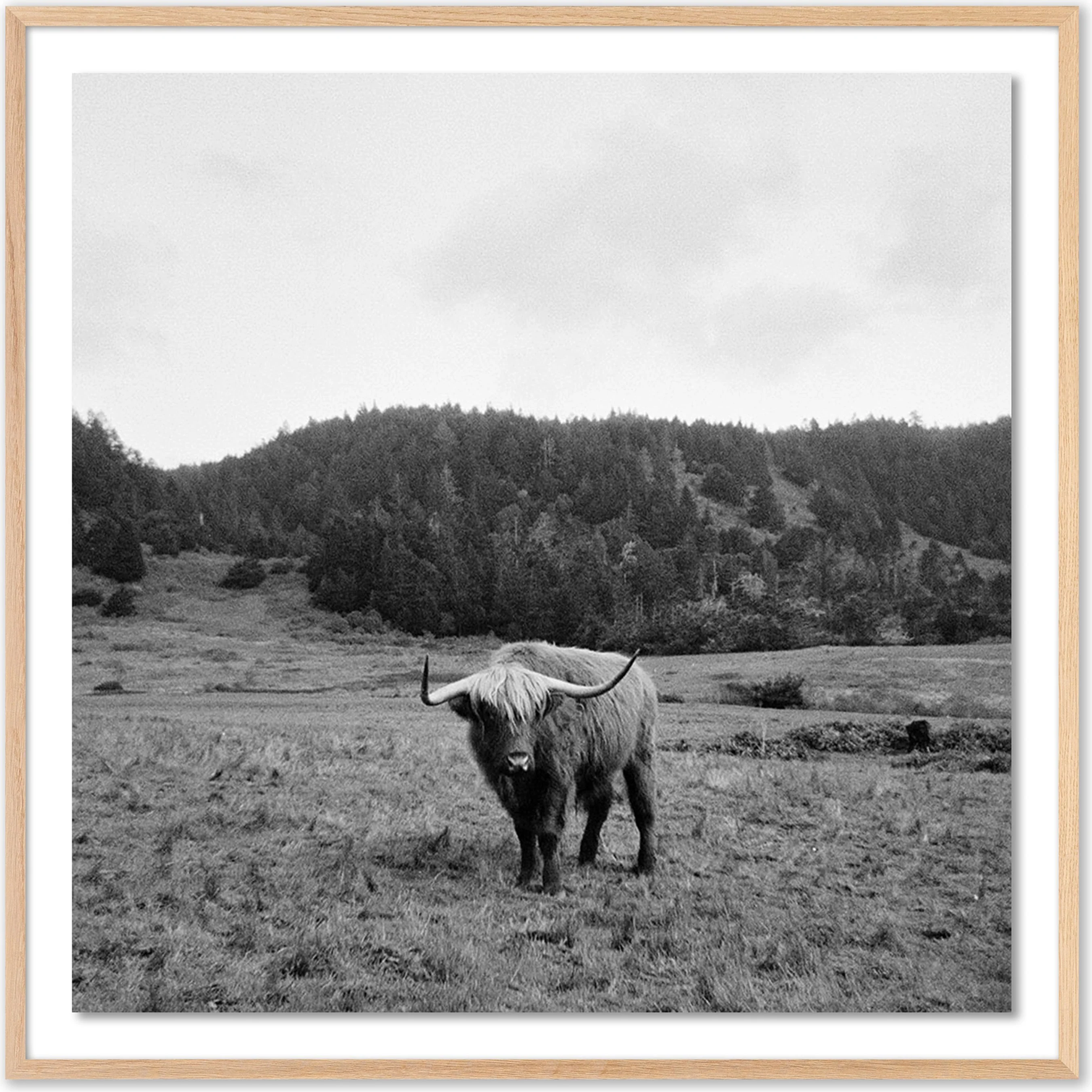 Highlander / Elk, CA by Wesley and Emma Teague - Image 12