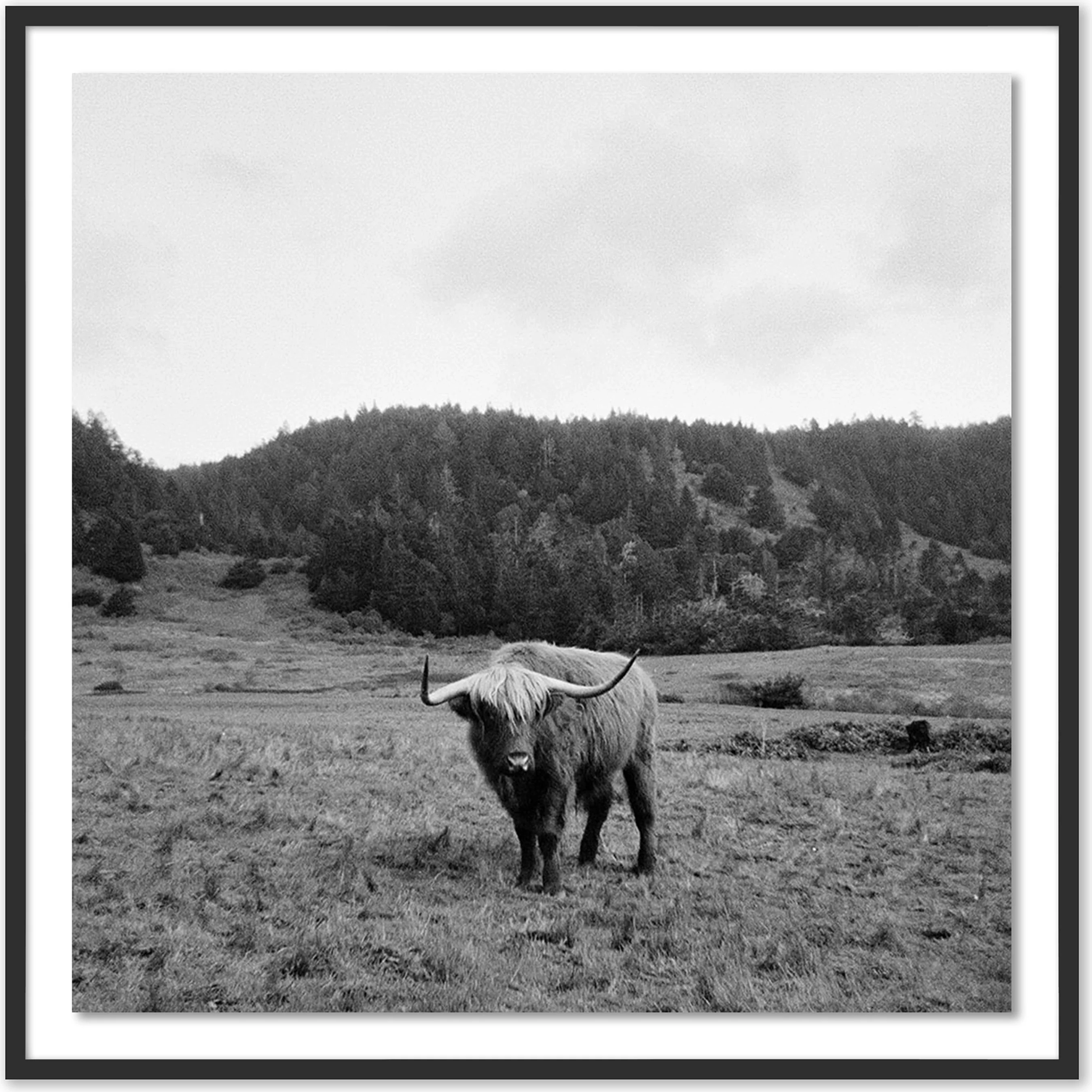Highlander / Elk, CA by Wesley and Emma Teague - Image 4