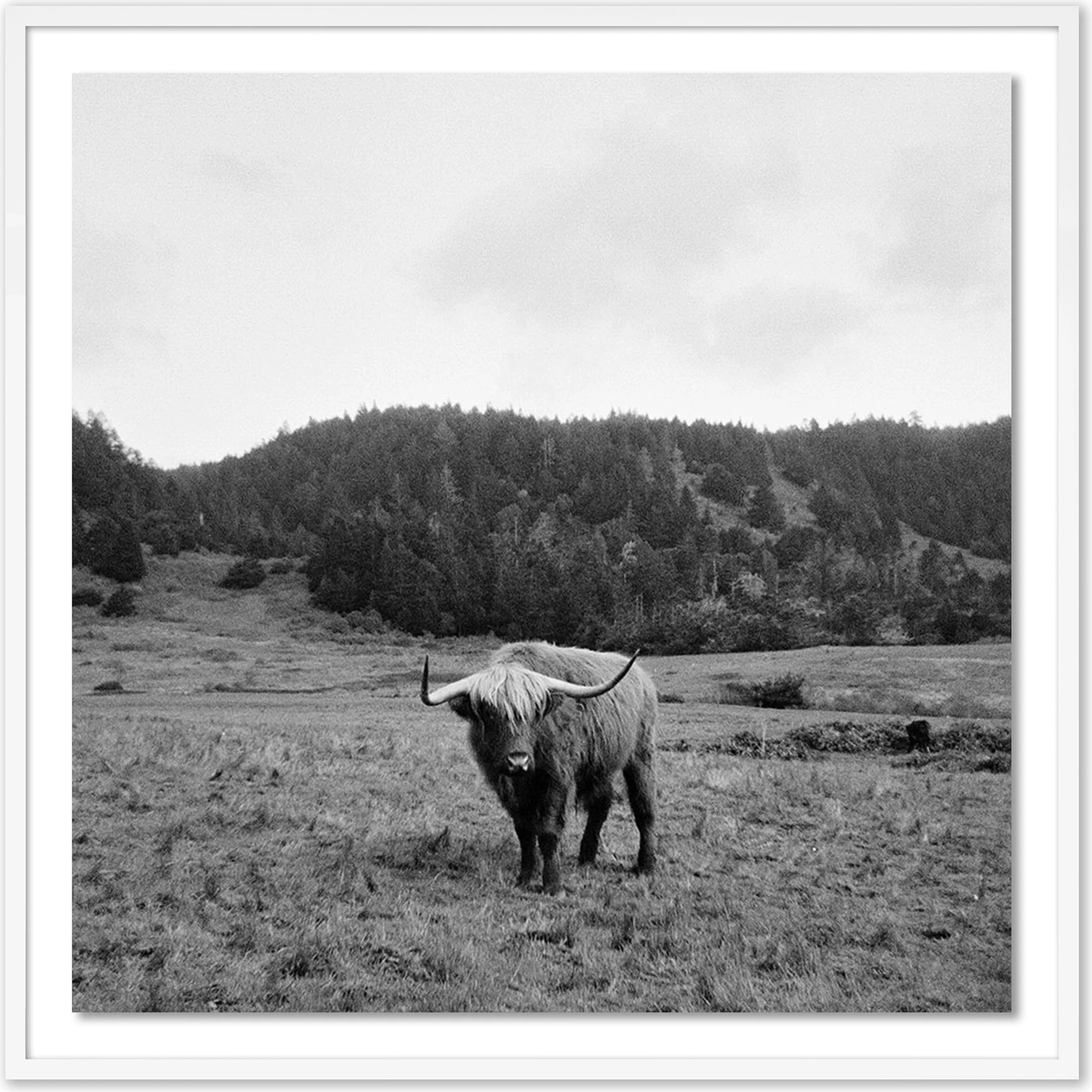 Highlander / Elk, CA by Wesley and Emma Teague - Image 7