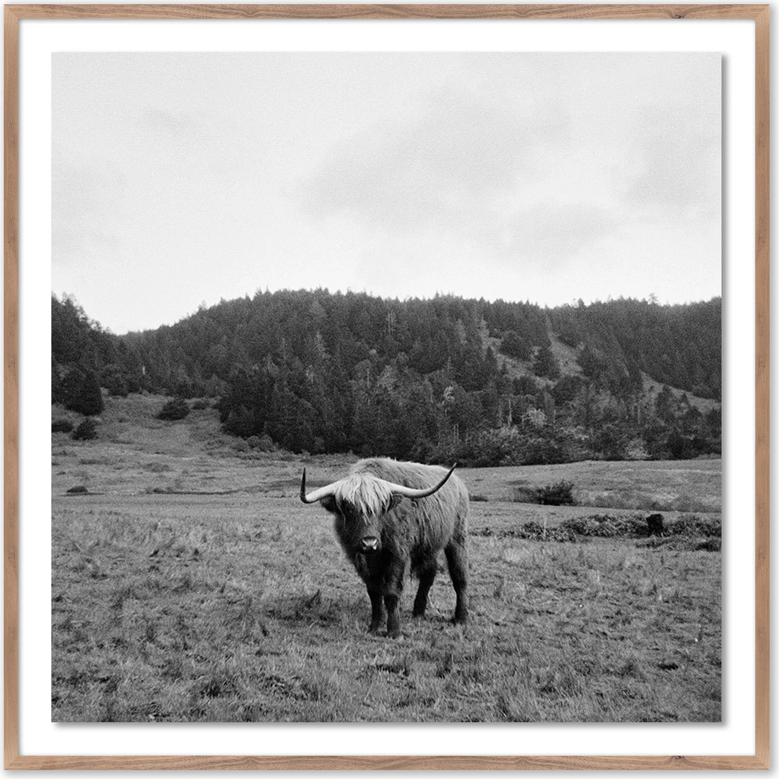 Highlander / Elk, CA by Wesley and Emma Teague - Image 9