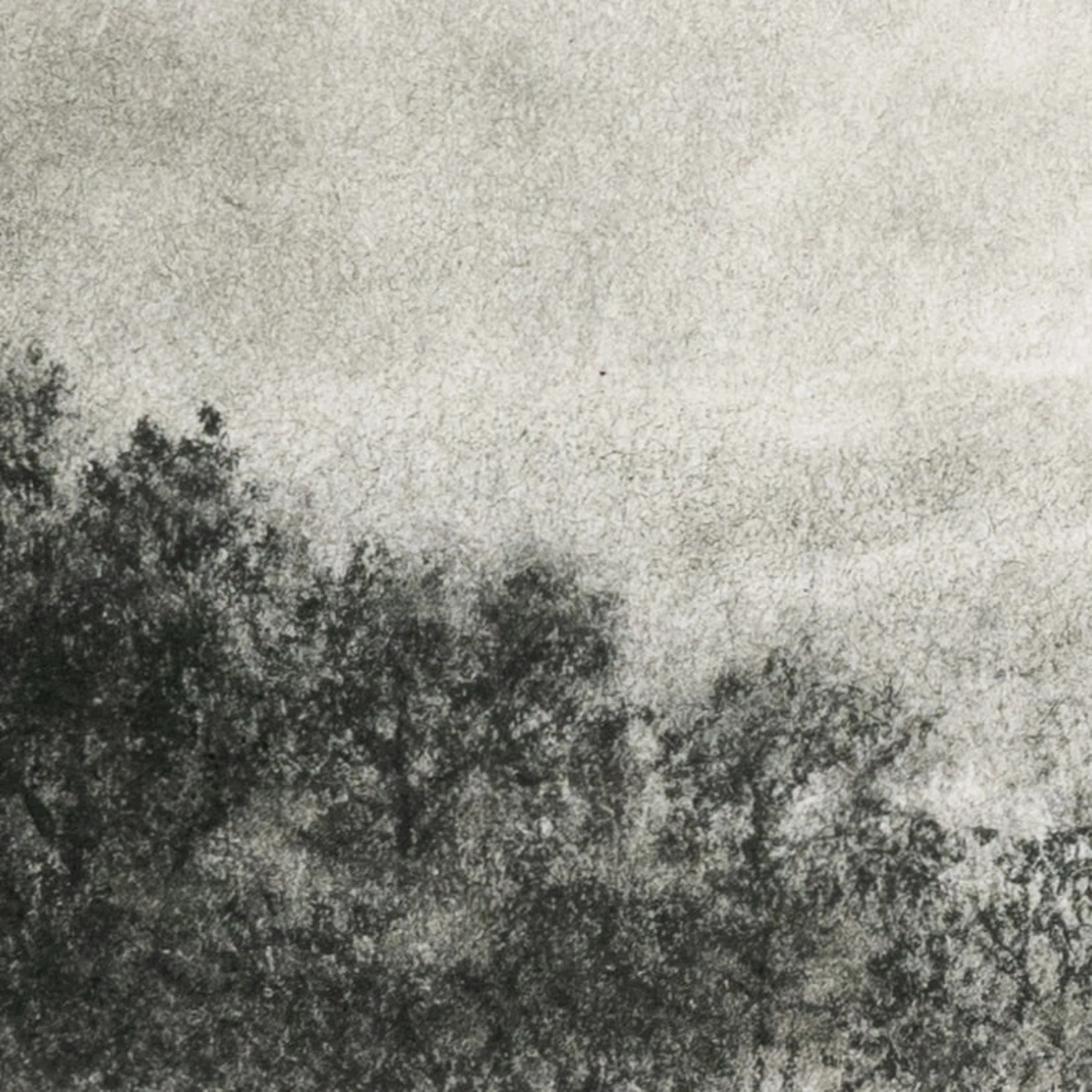 Hill Country Study I by Aileen Fitzgerald - Image 4