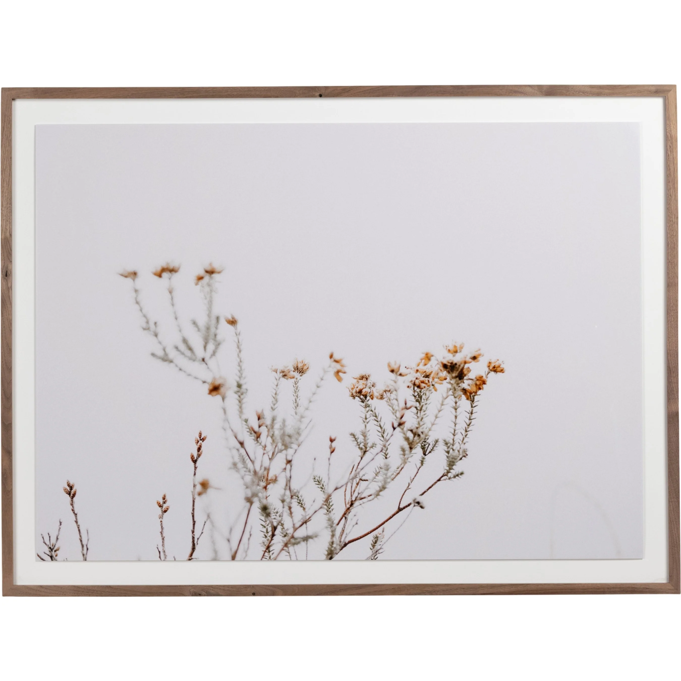 In the Details I by Annie Spratt