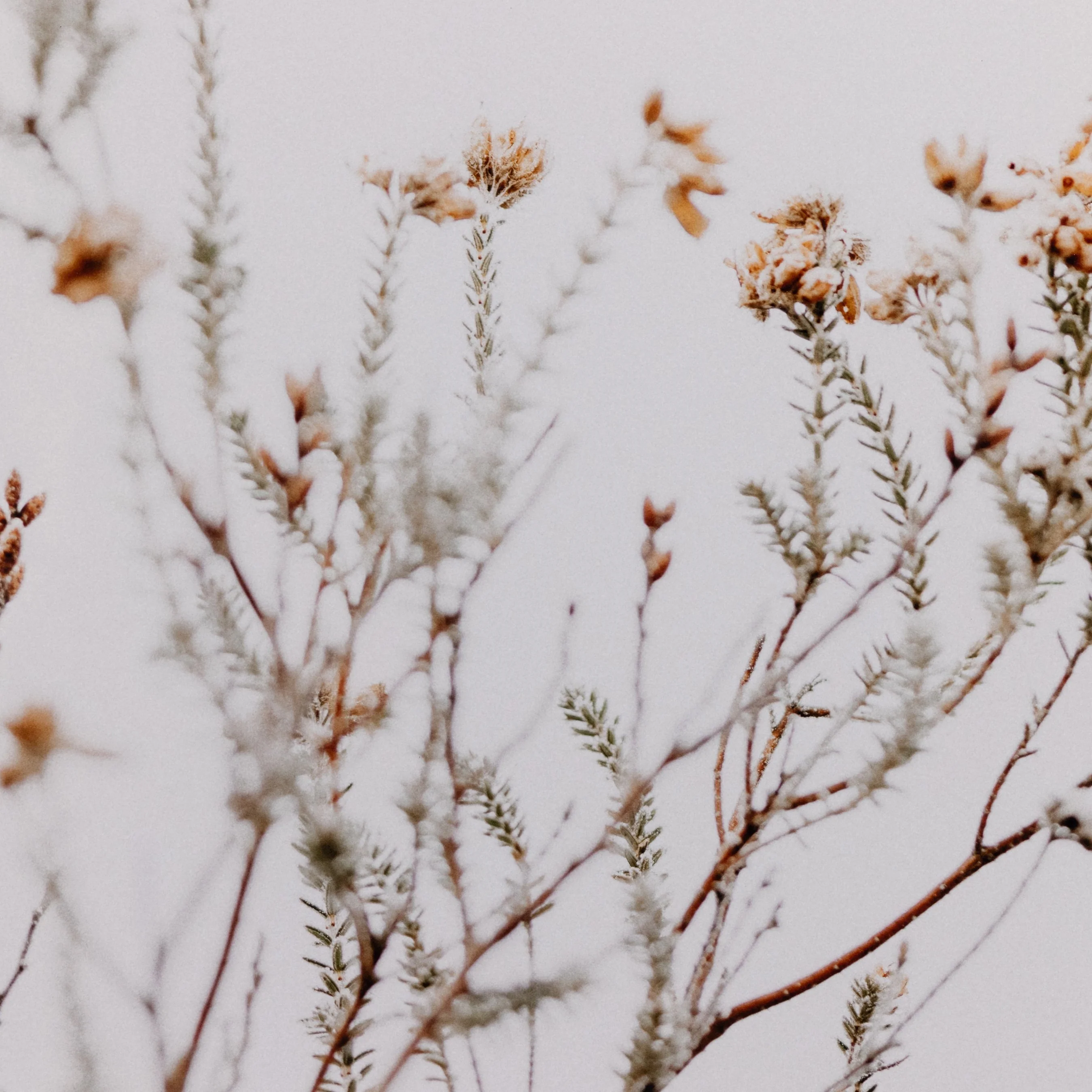 In the Details I by Annie Spratt - Image 8