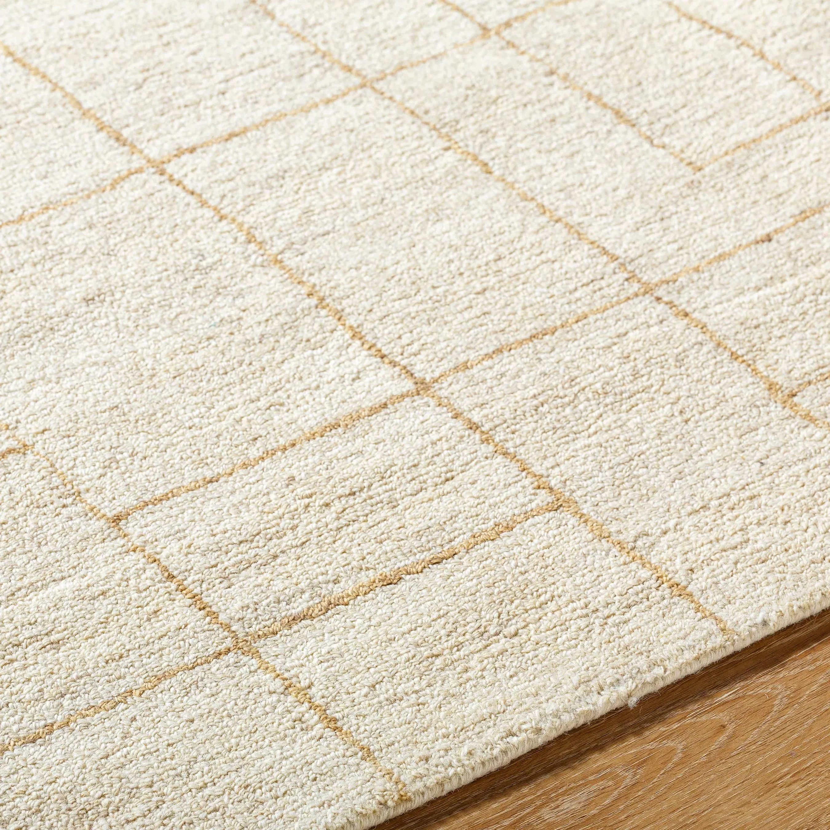 Ira VVIR-2301 Rug - Image 4