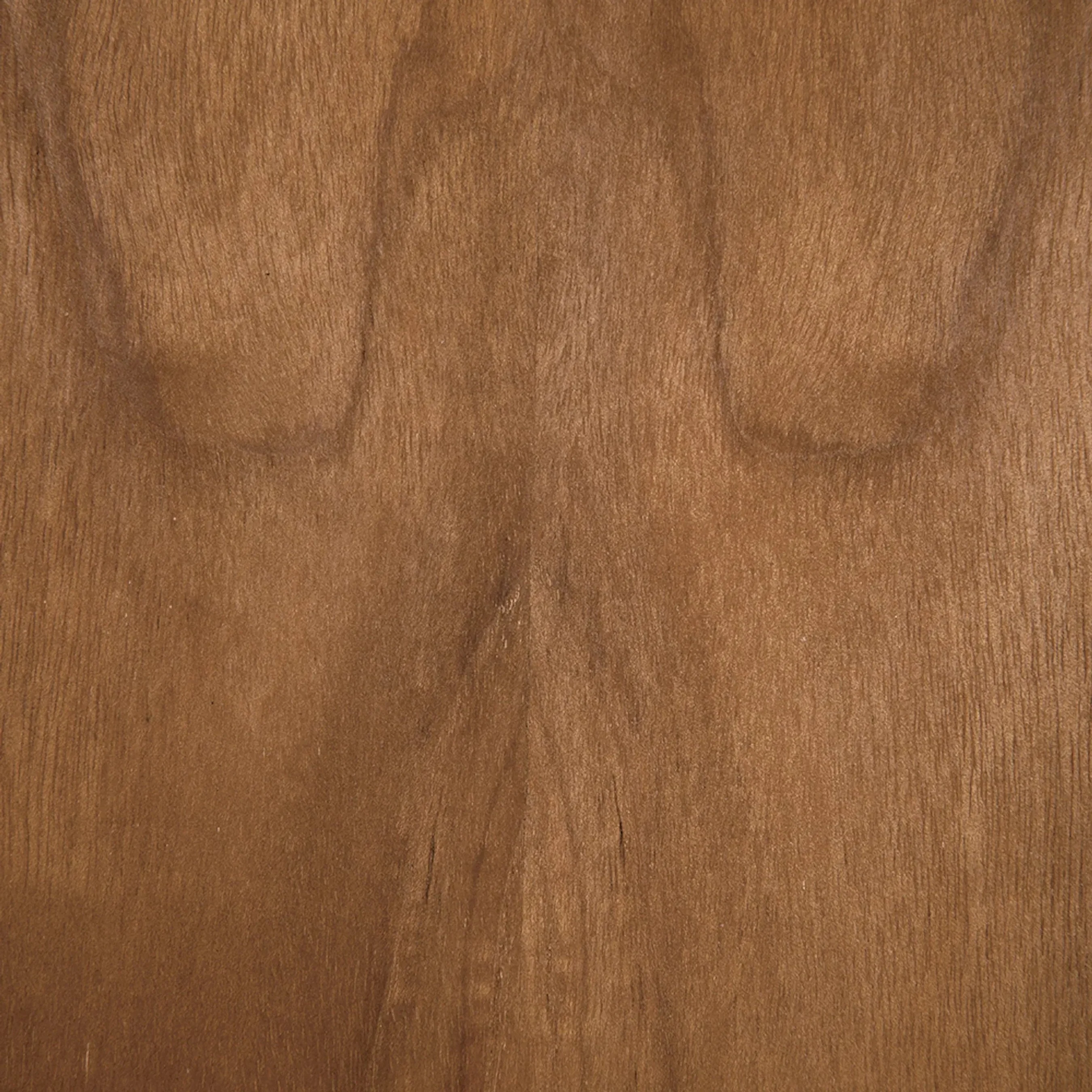 Jackson Shelf - Image 4
