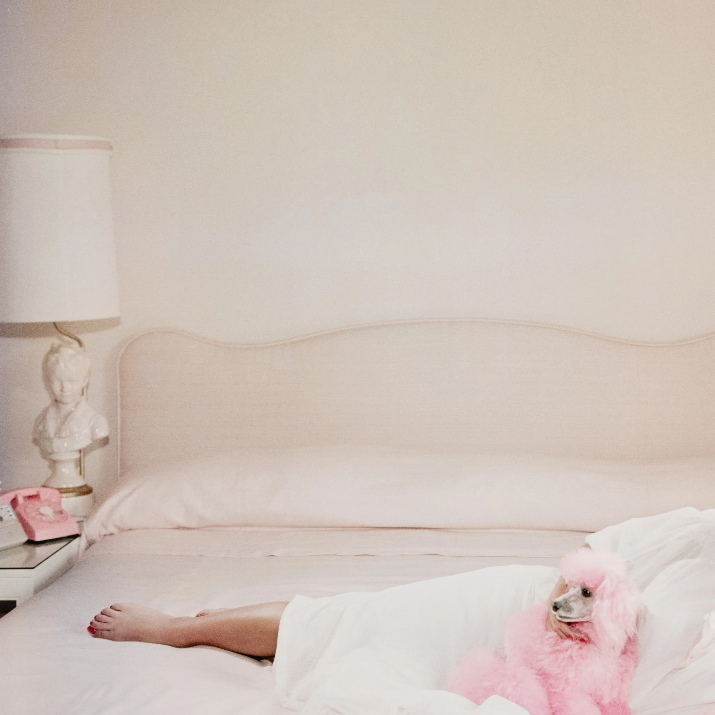 Joan Collins Relaxes by Slim Aarons - Image 8