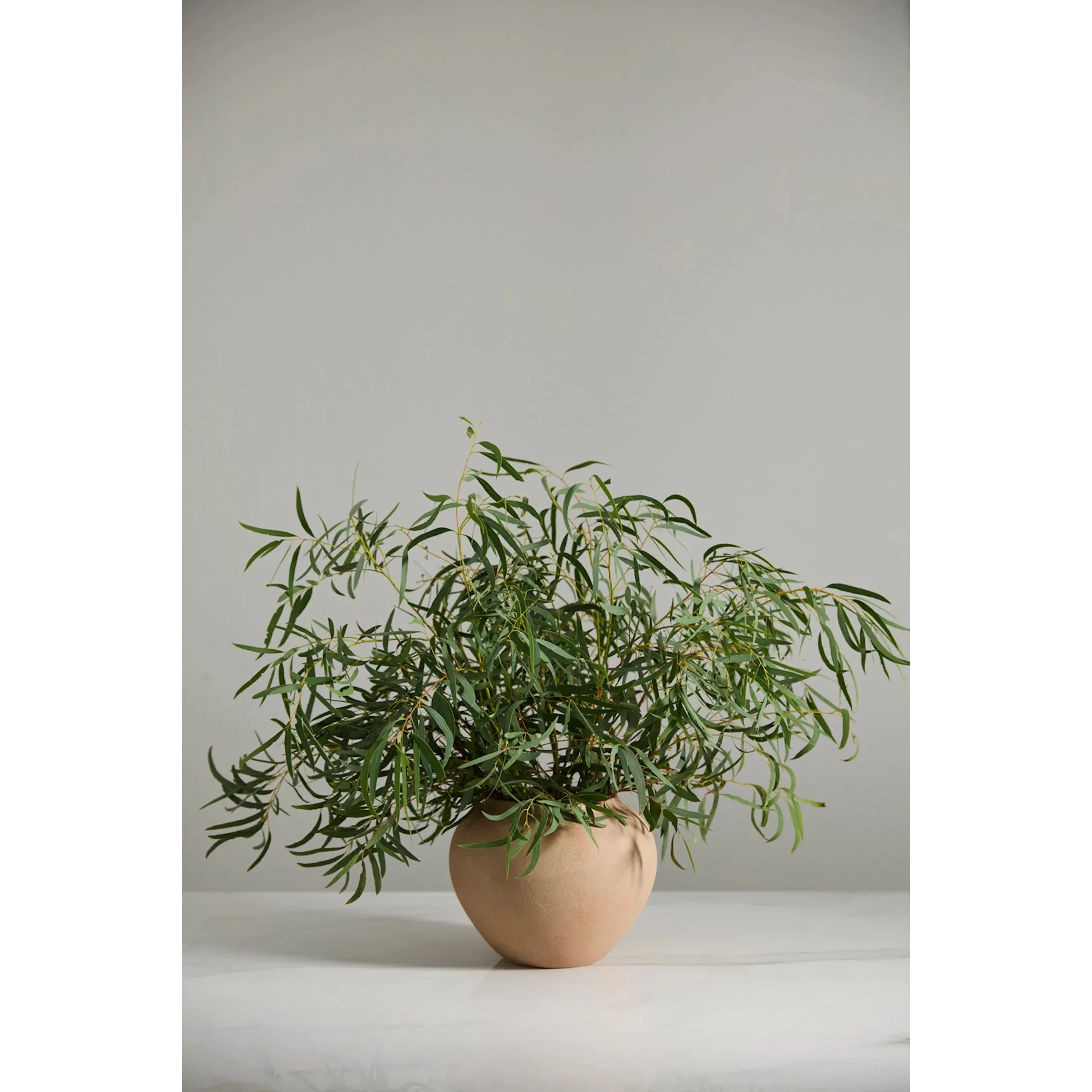 Kastanos Vase - Image 2