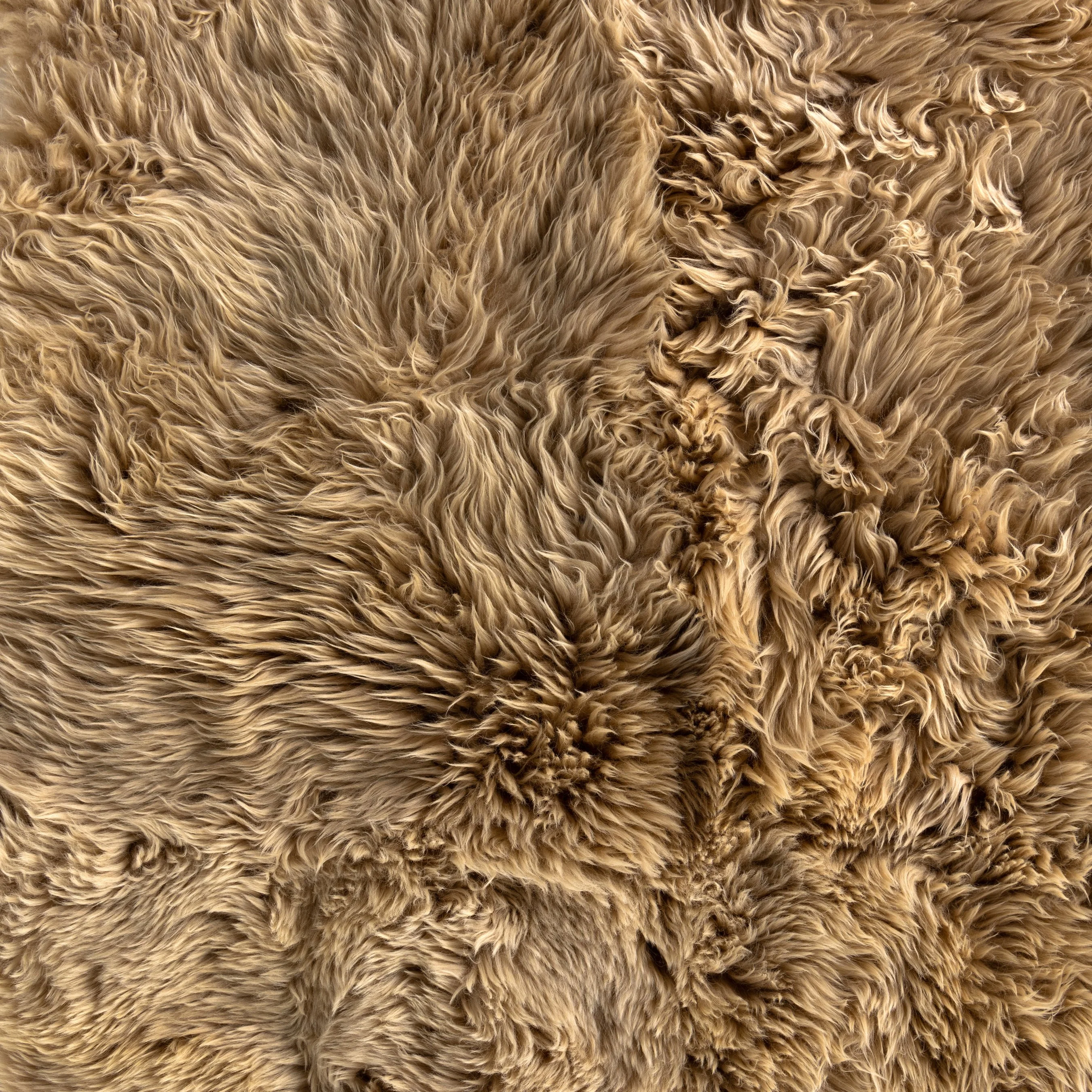 Lalo Lambskin Rug - Image 8