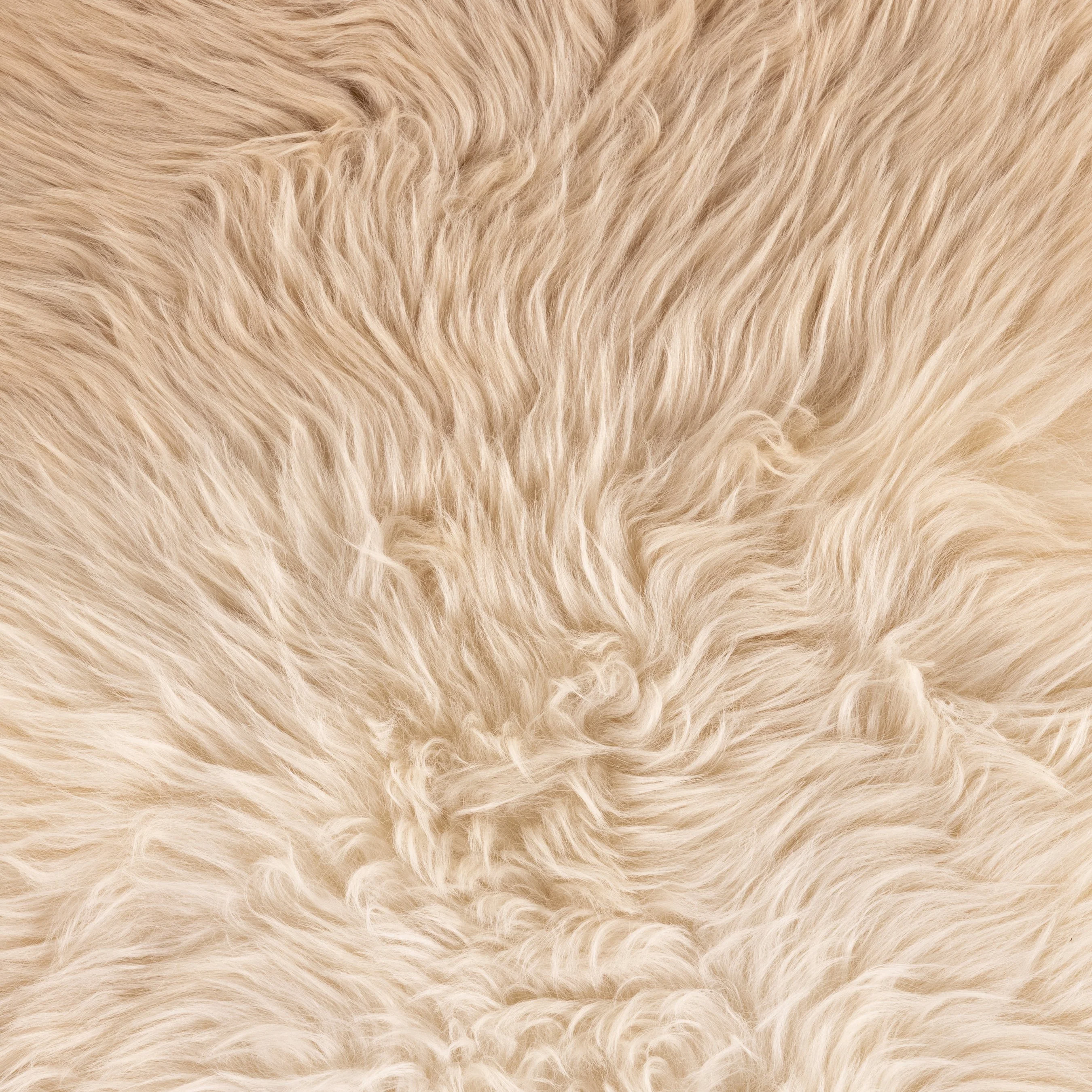 Lalo Ombre Throw - Image 10
