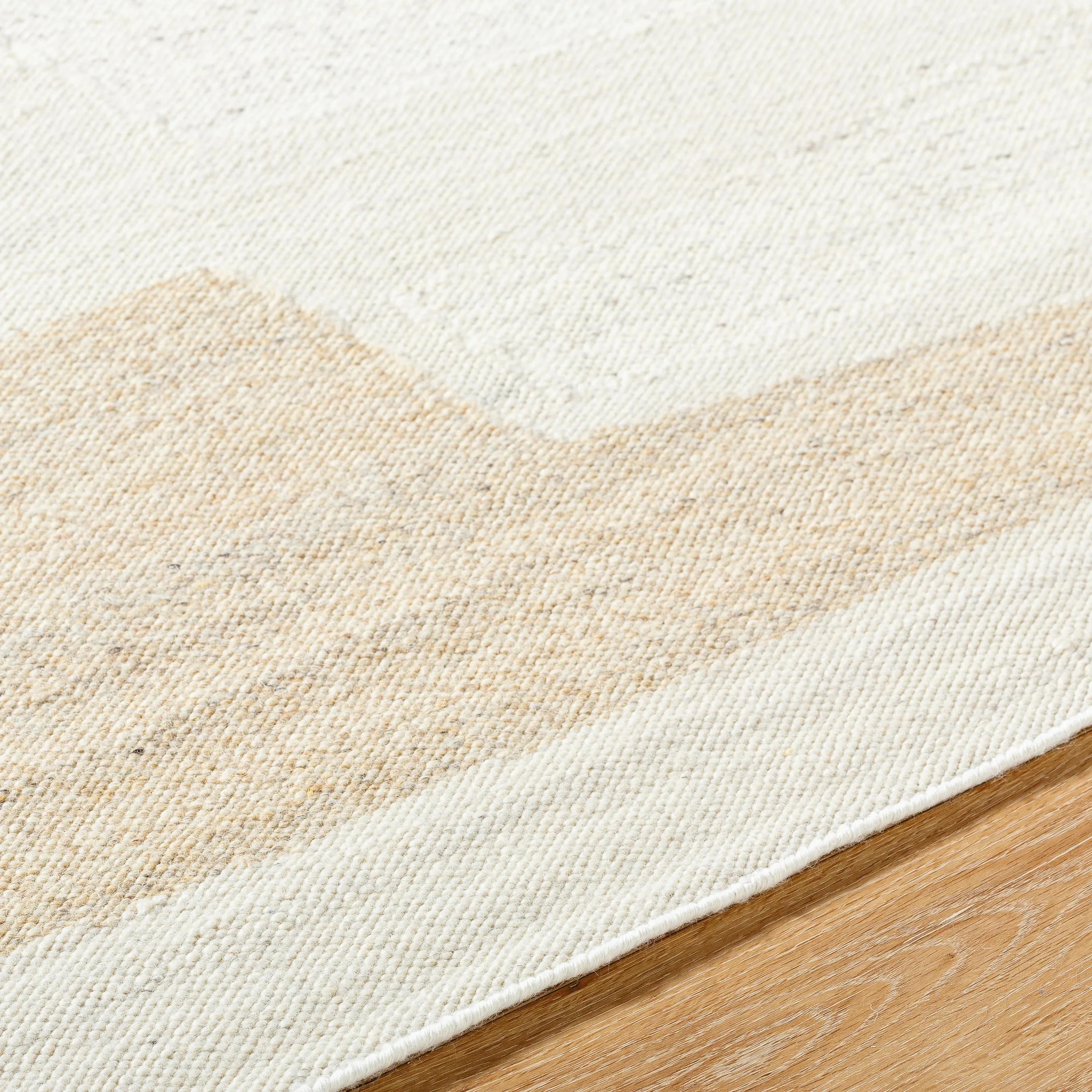 Lanesra LAR-2303 Rug - Image 4