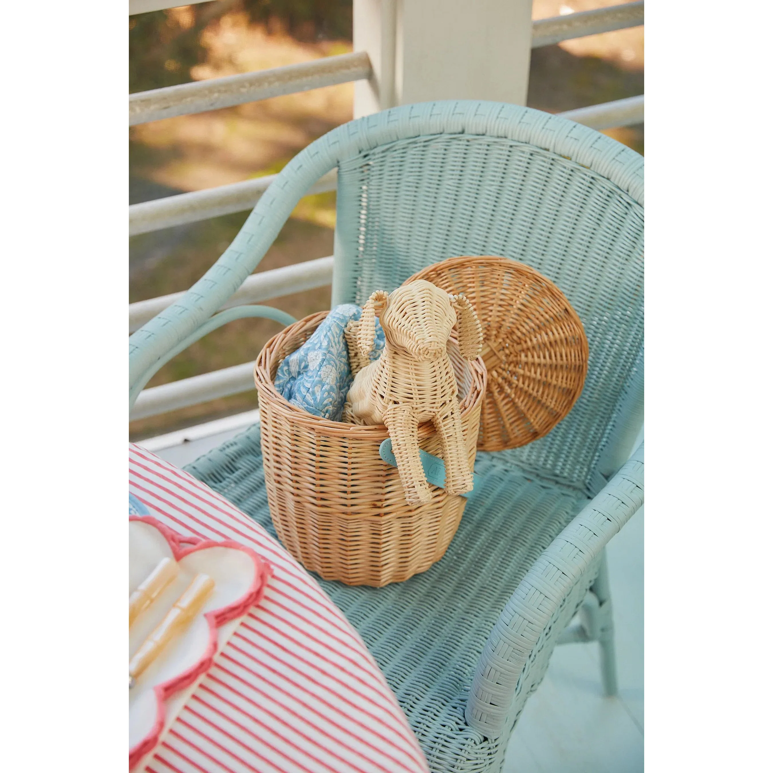 Little Potcake - Image 10