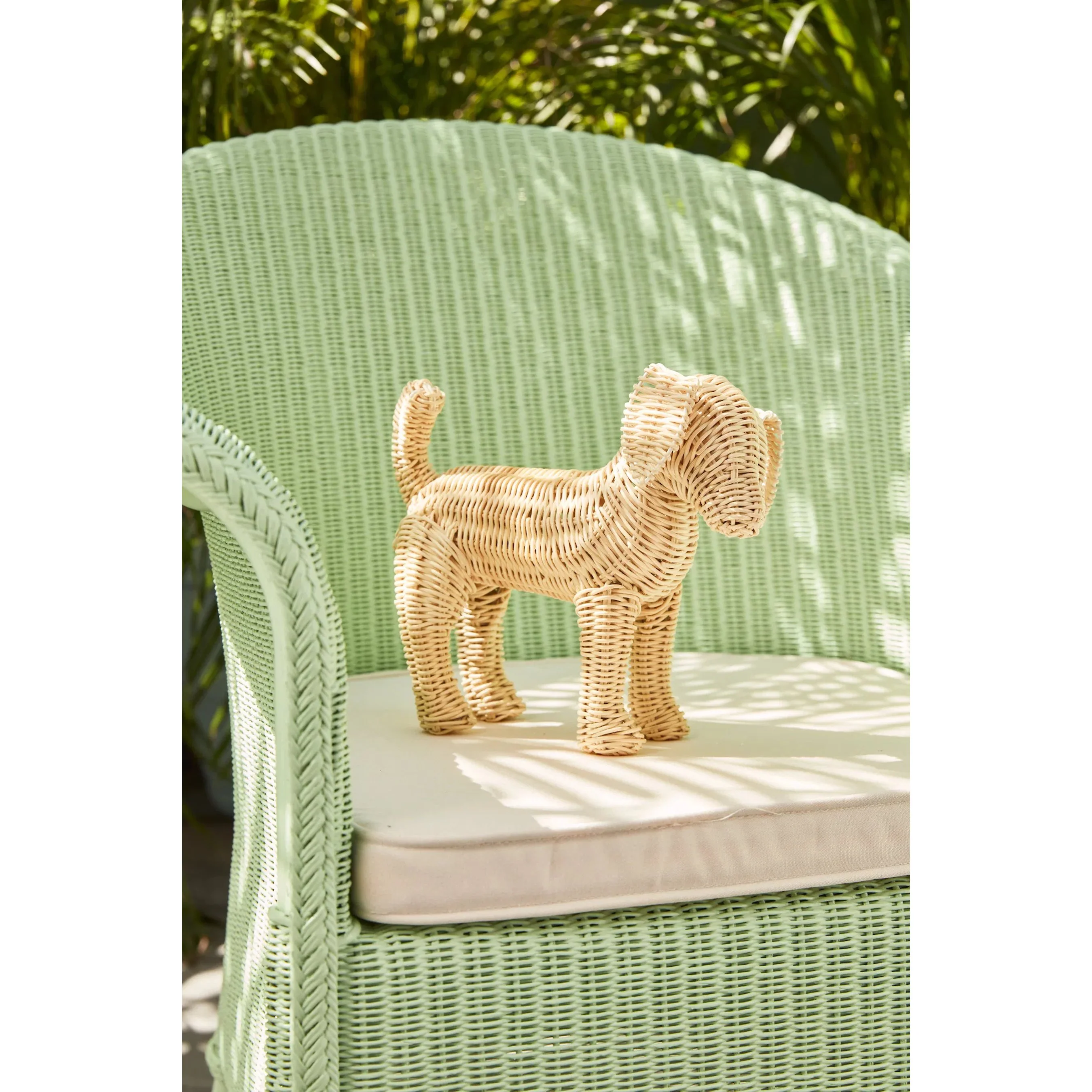 Little Potcake - Image 9