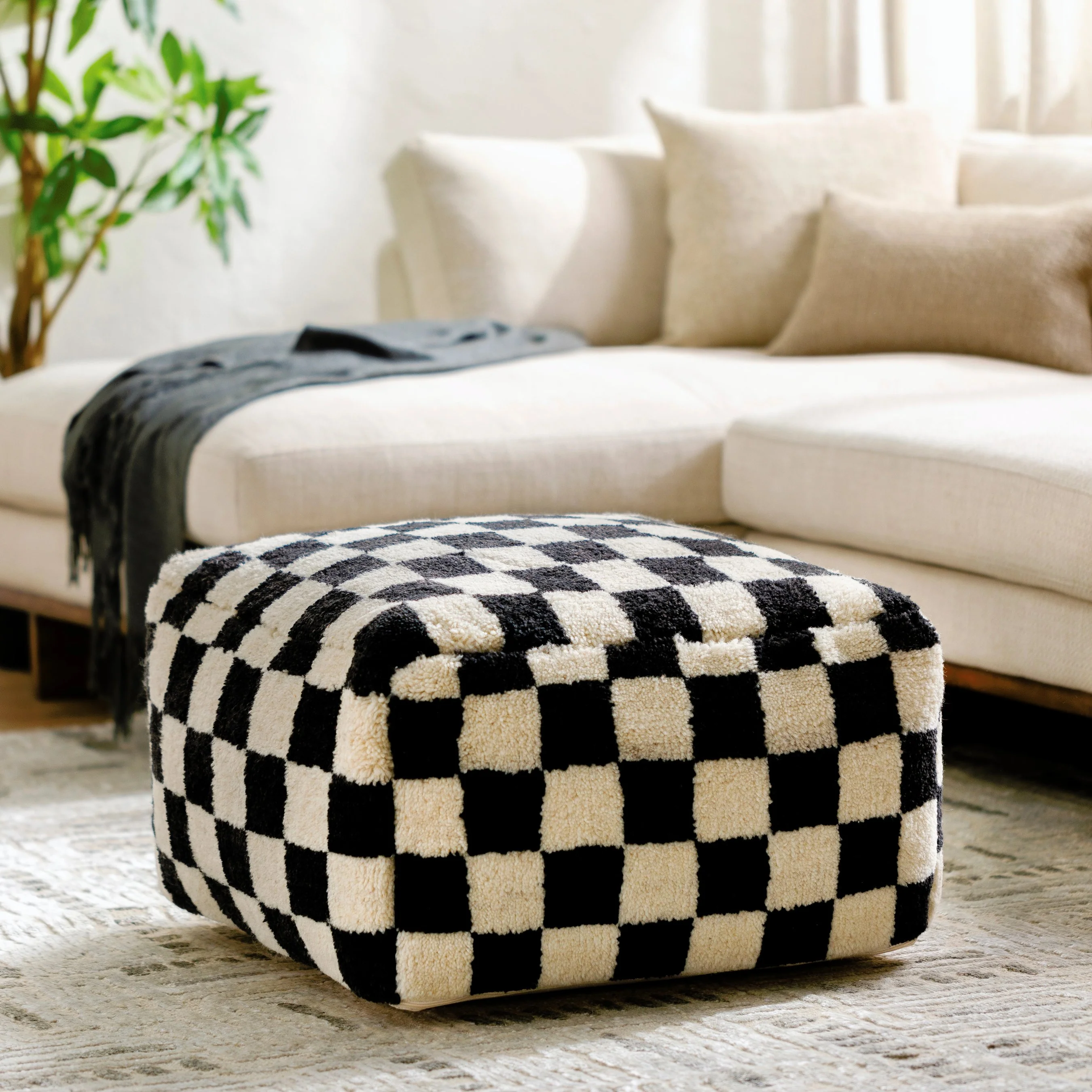 Lukas - 484072 - Image 6