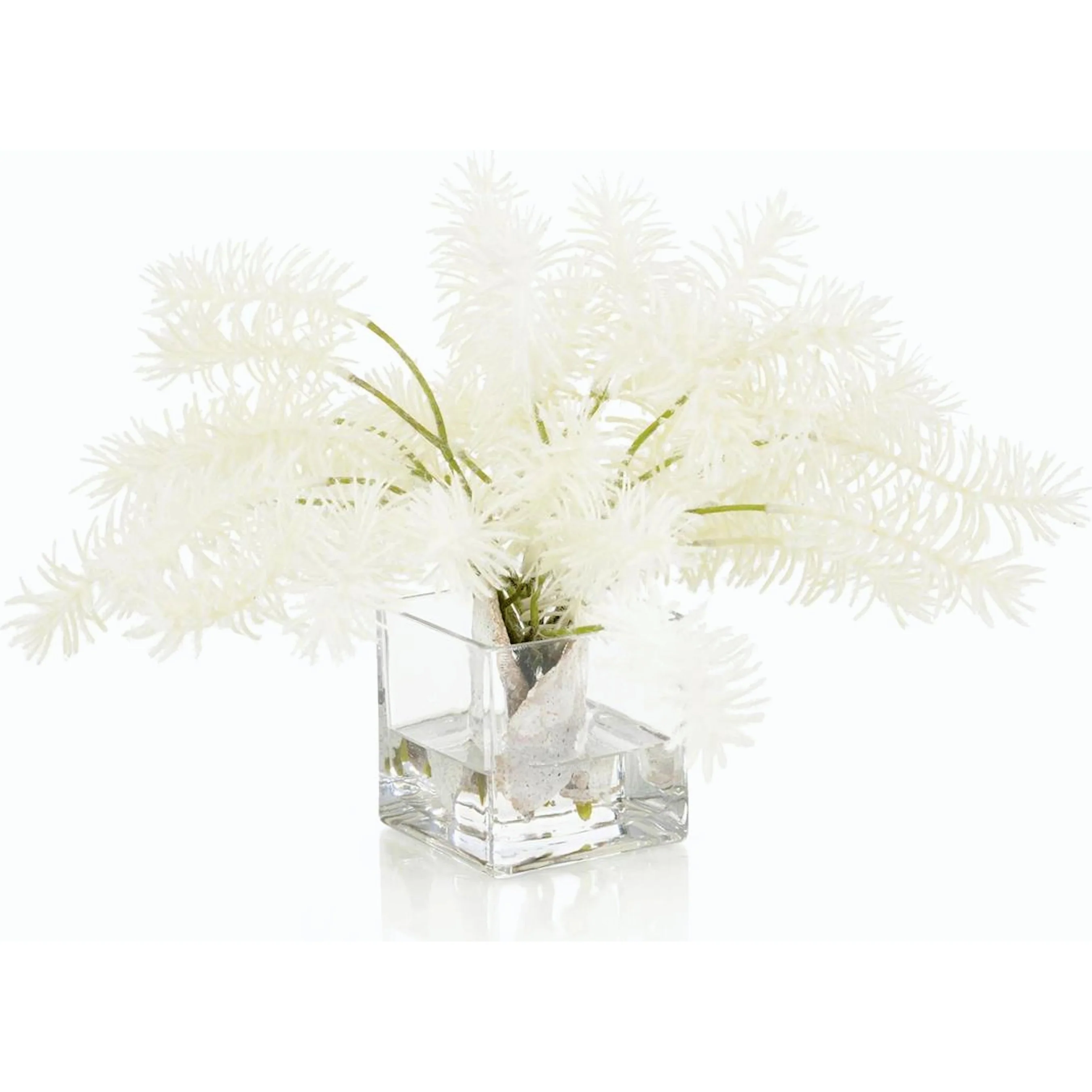 Lush White