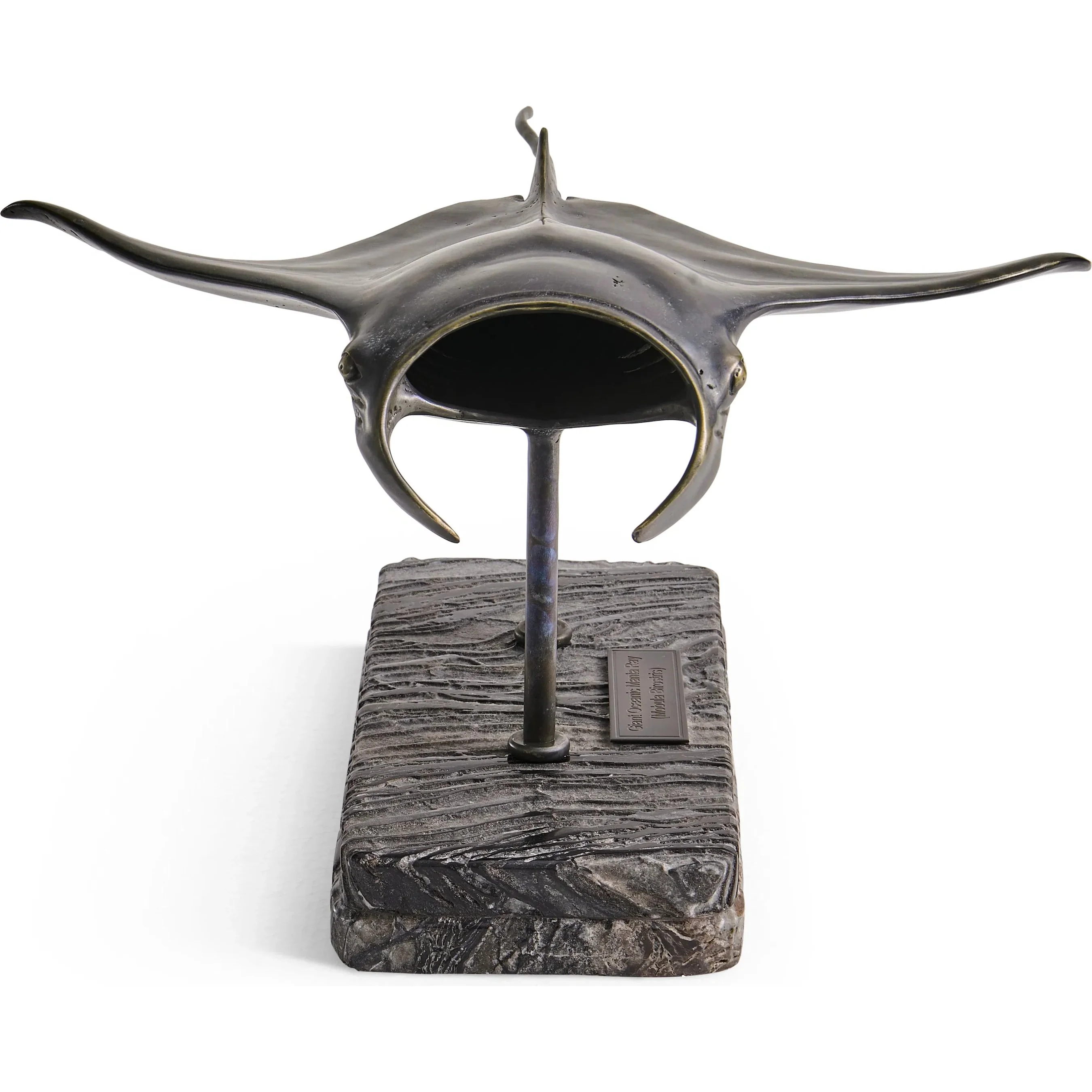 Manta Ray Bronze Statue with Marble Base - Image 4