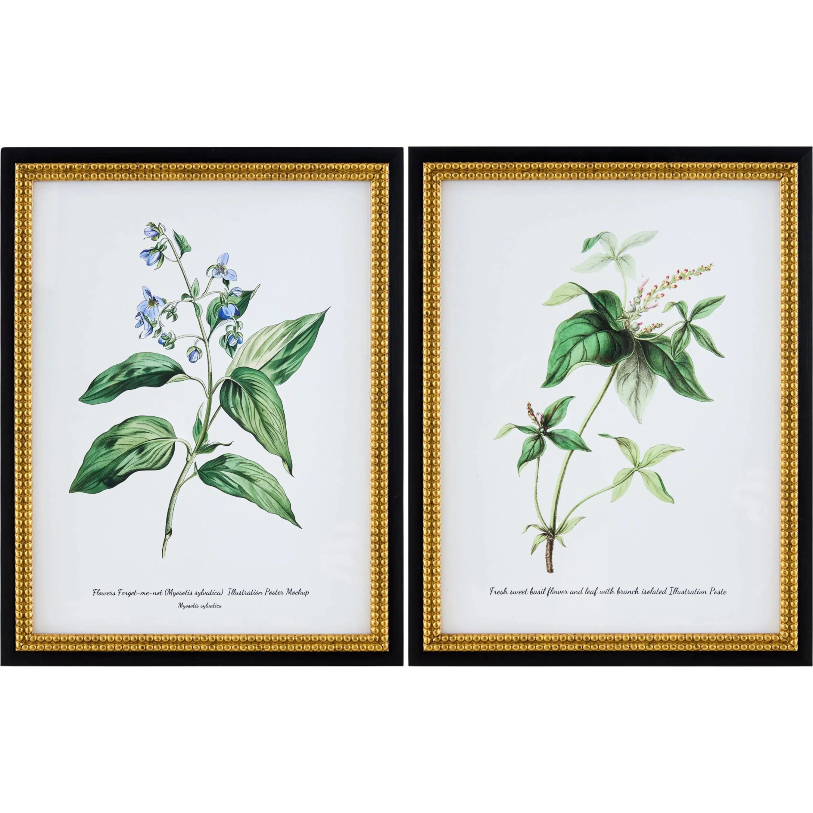 Midsummer Framed Art (Set of 2)