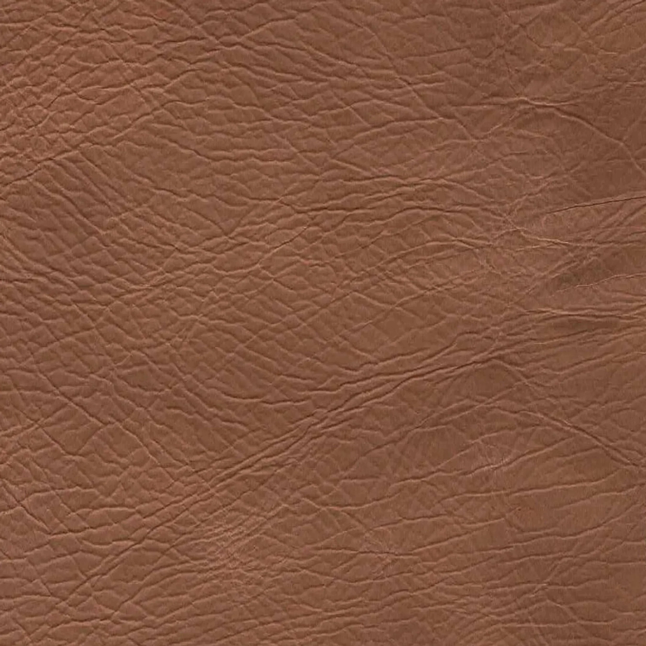Milo Dining Chair - Image 5