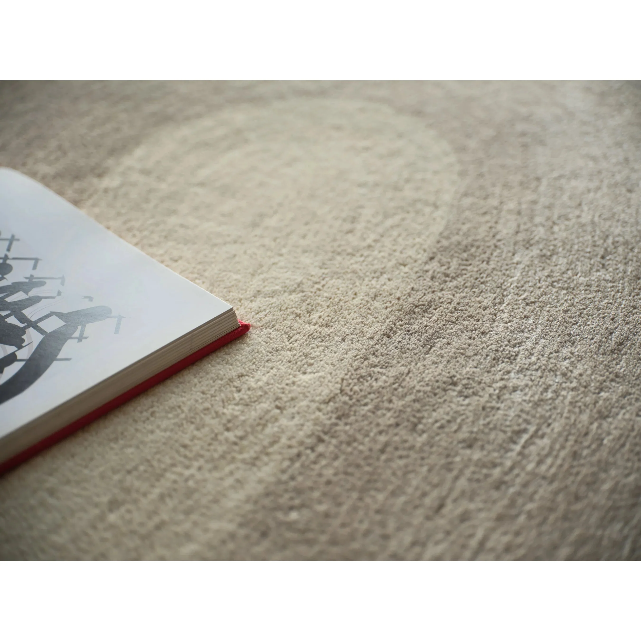 Mitomo Rug - Image 18