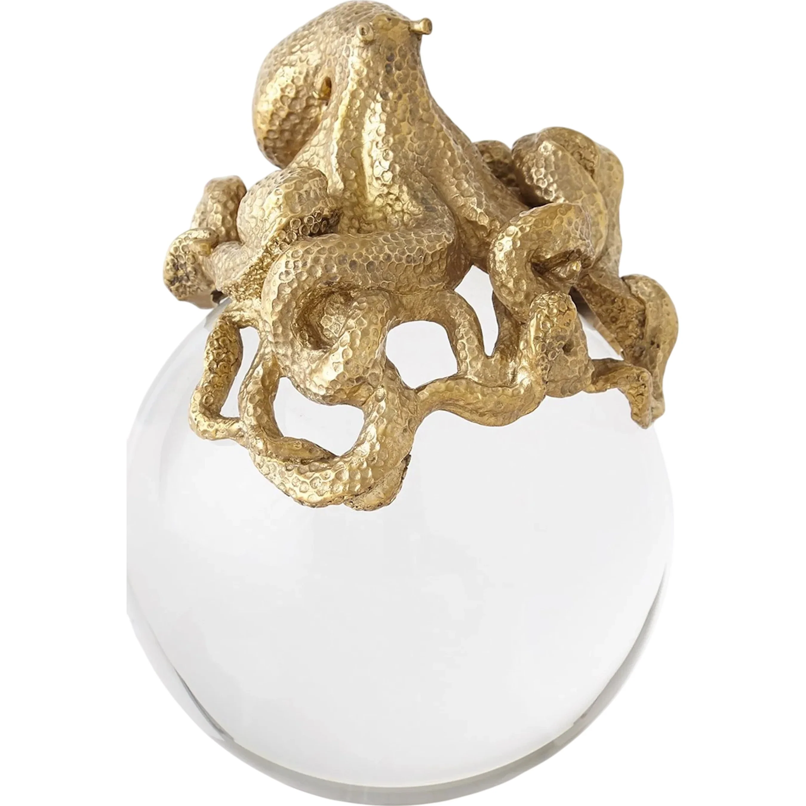 Octopus on Orb