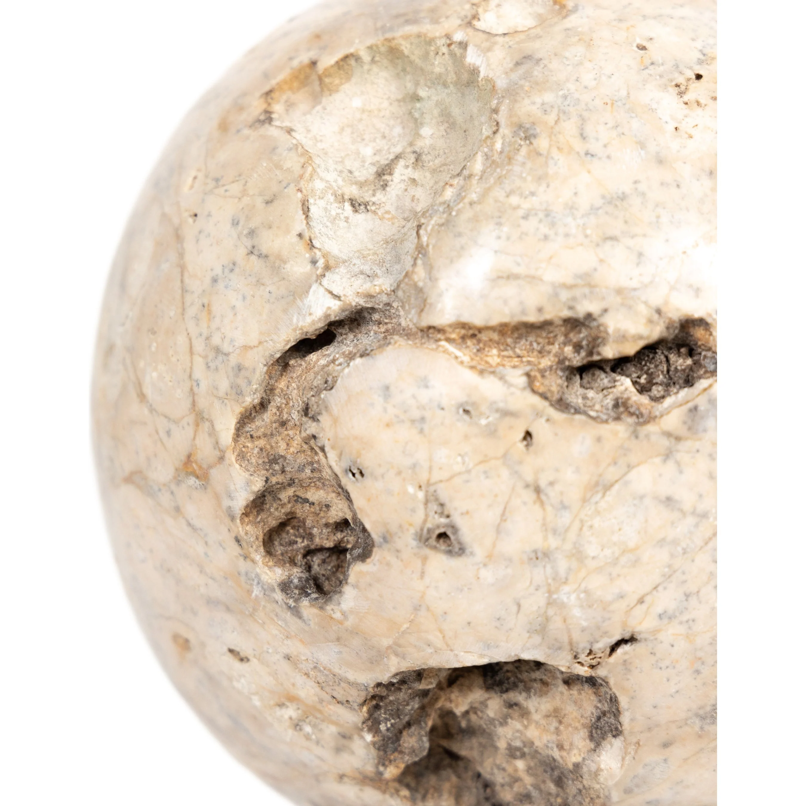 Organic Stone Sculptures, (Set of 3) - Image 8