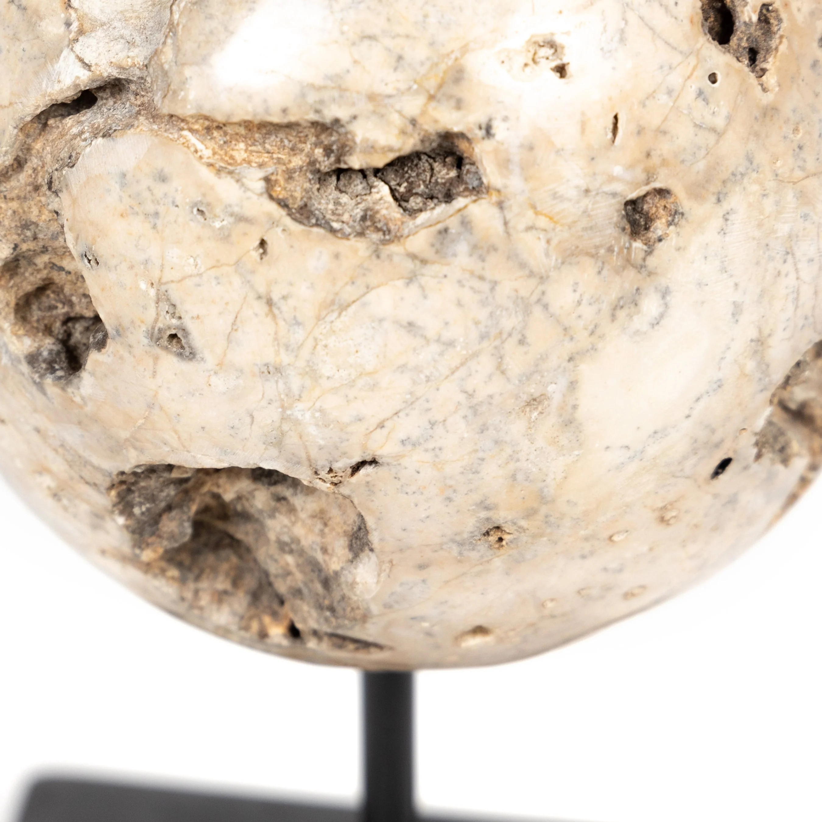 Organic Stone Sculptures, (Set of 3) - Image 9