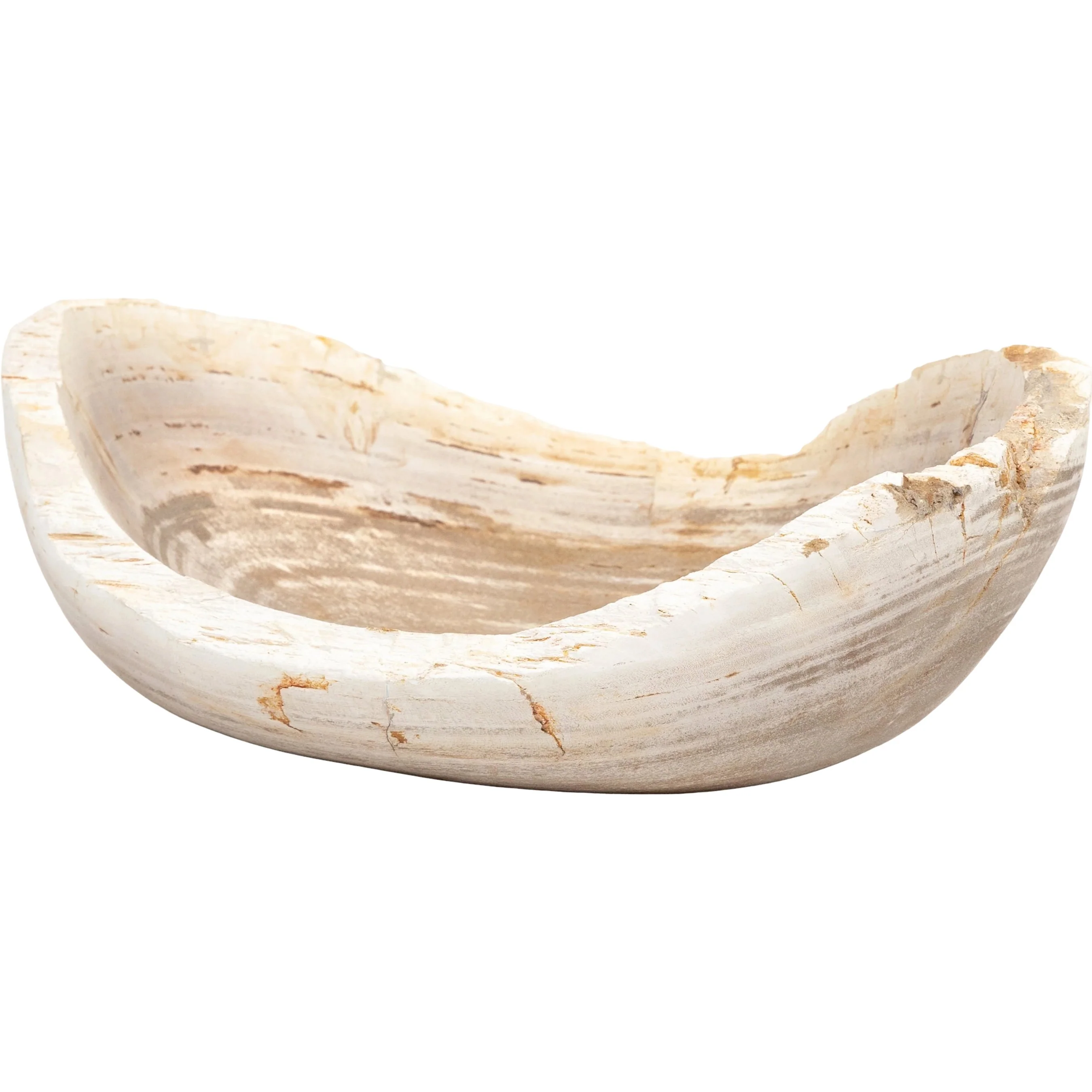 Oval Petrified Wood Bowl