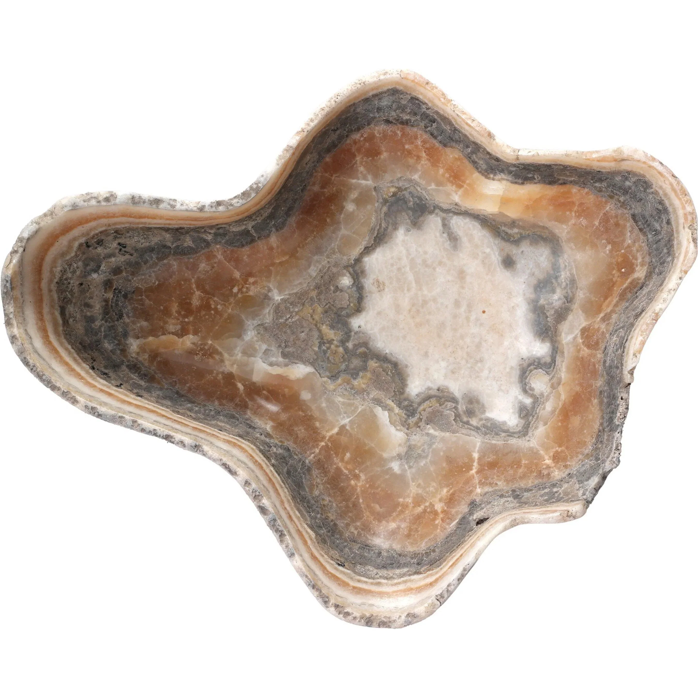 Oval Petrified Wood Bowl - Image 10