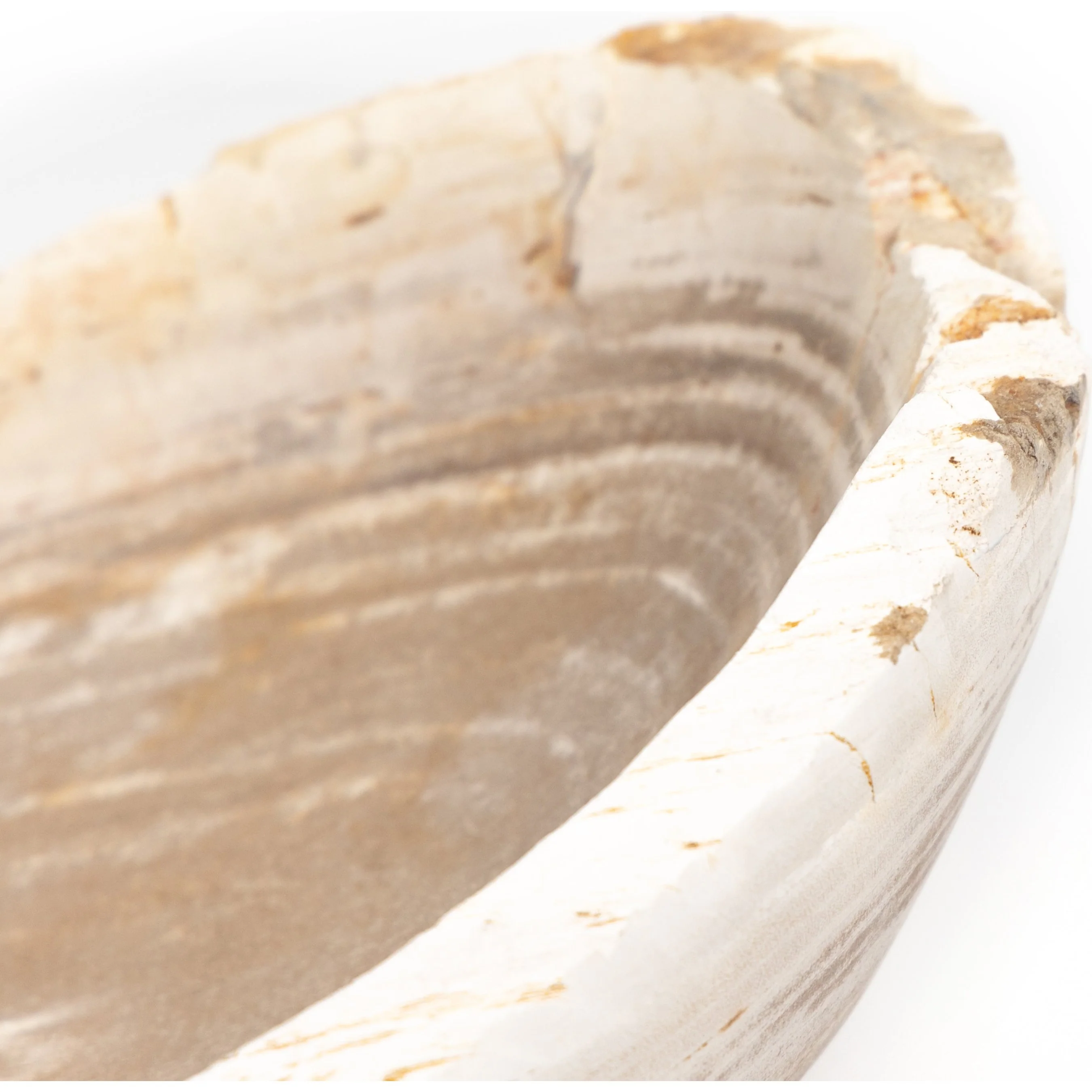 Oval Petrified Wood Bowl - Image 13