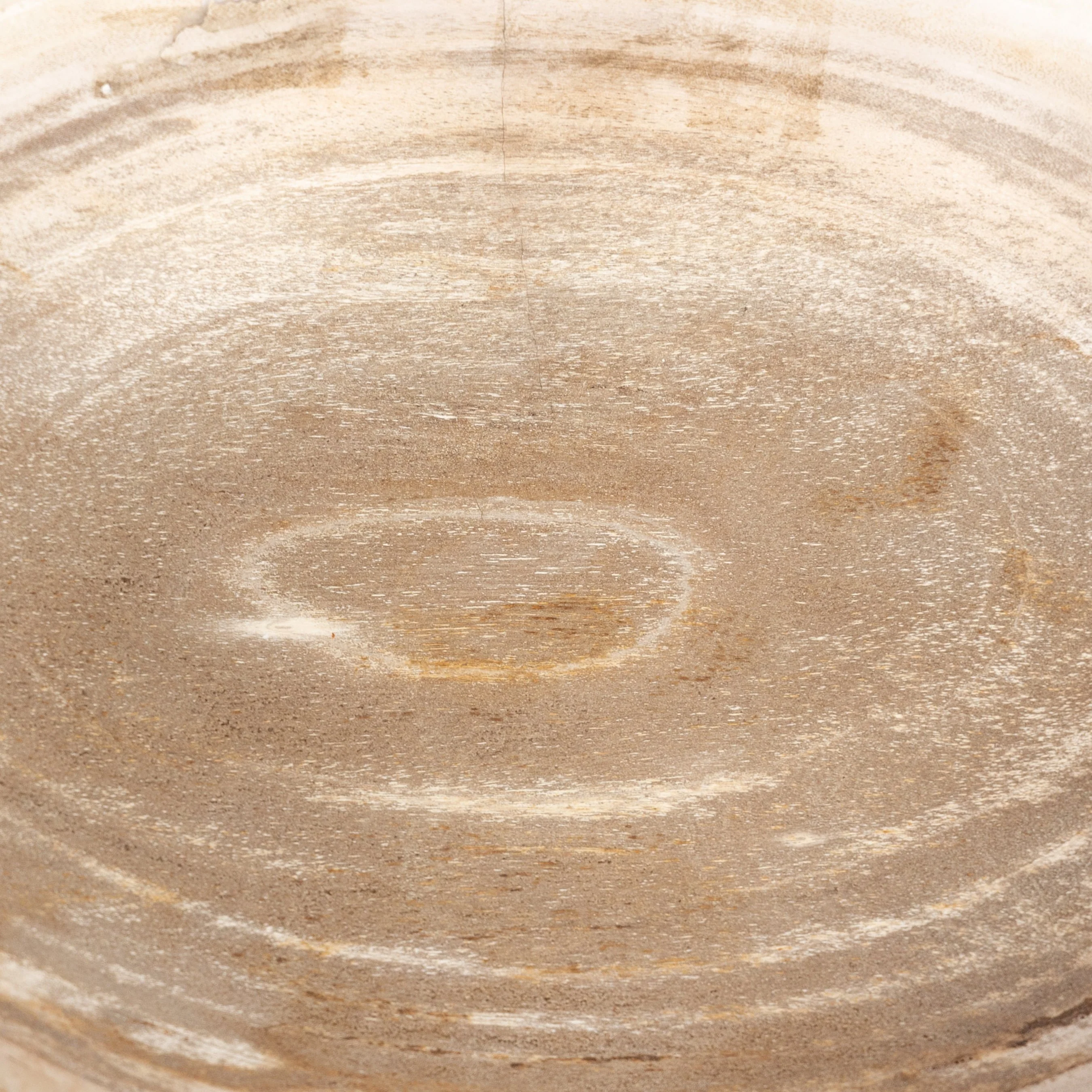 Oval Petrified Wood Bowl - Image 14