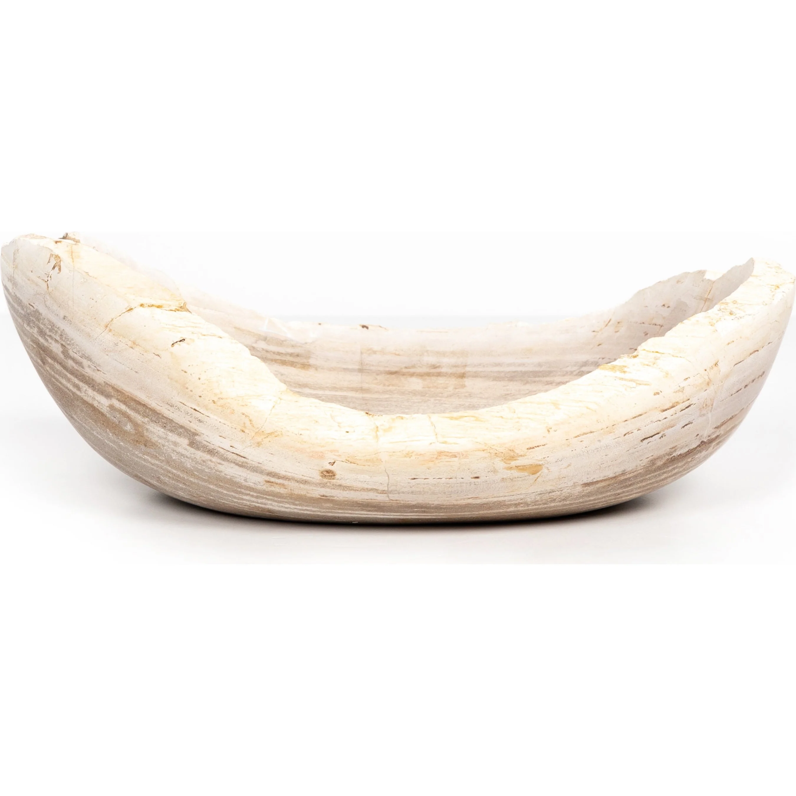 Oval Petrified Wood Bowl - Image 2
