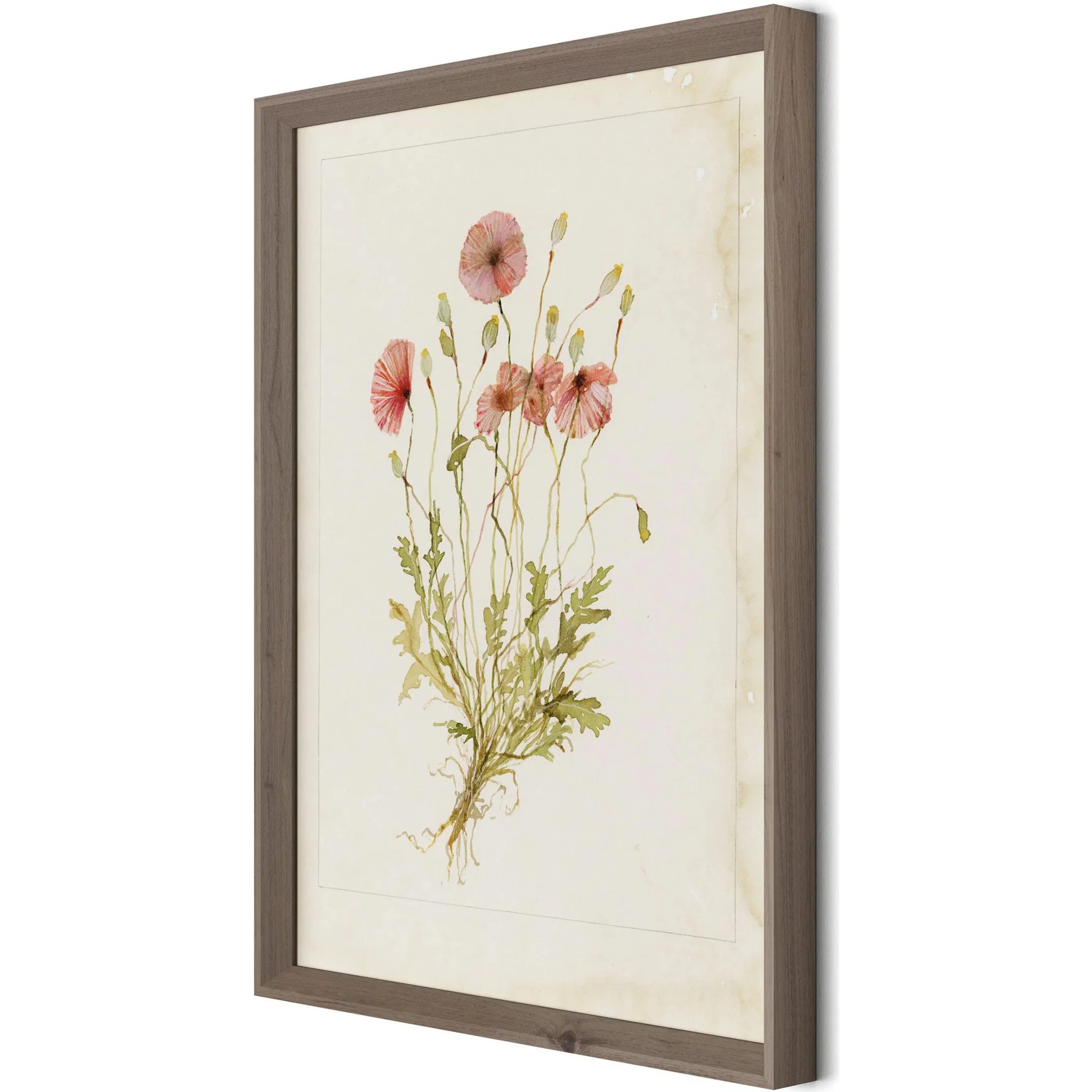 Papaveraceae No. 2 by Laurel-Dawn Latshaw - Image 5