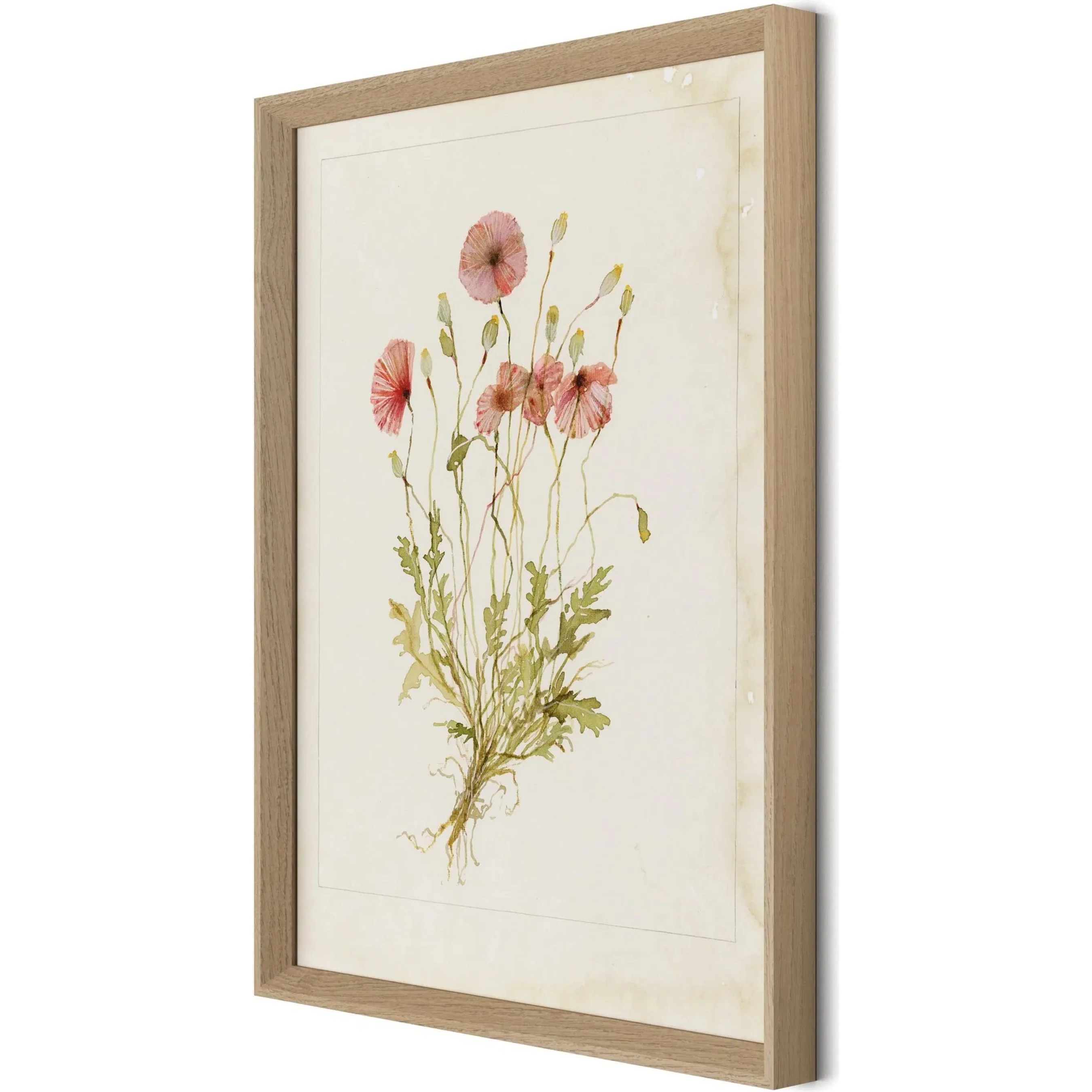 Papaveraceae No. 2 by Laurel-Dawn Latshaw - Image 6