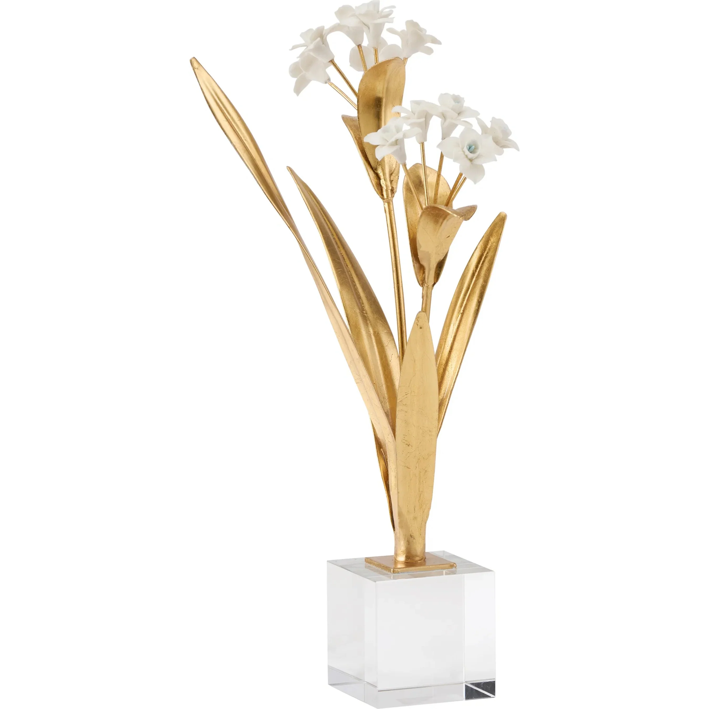 Paperwhite Narcissus